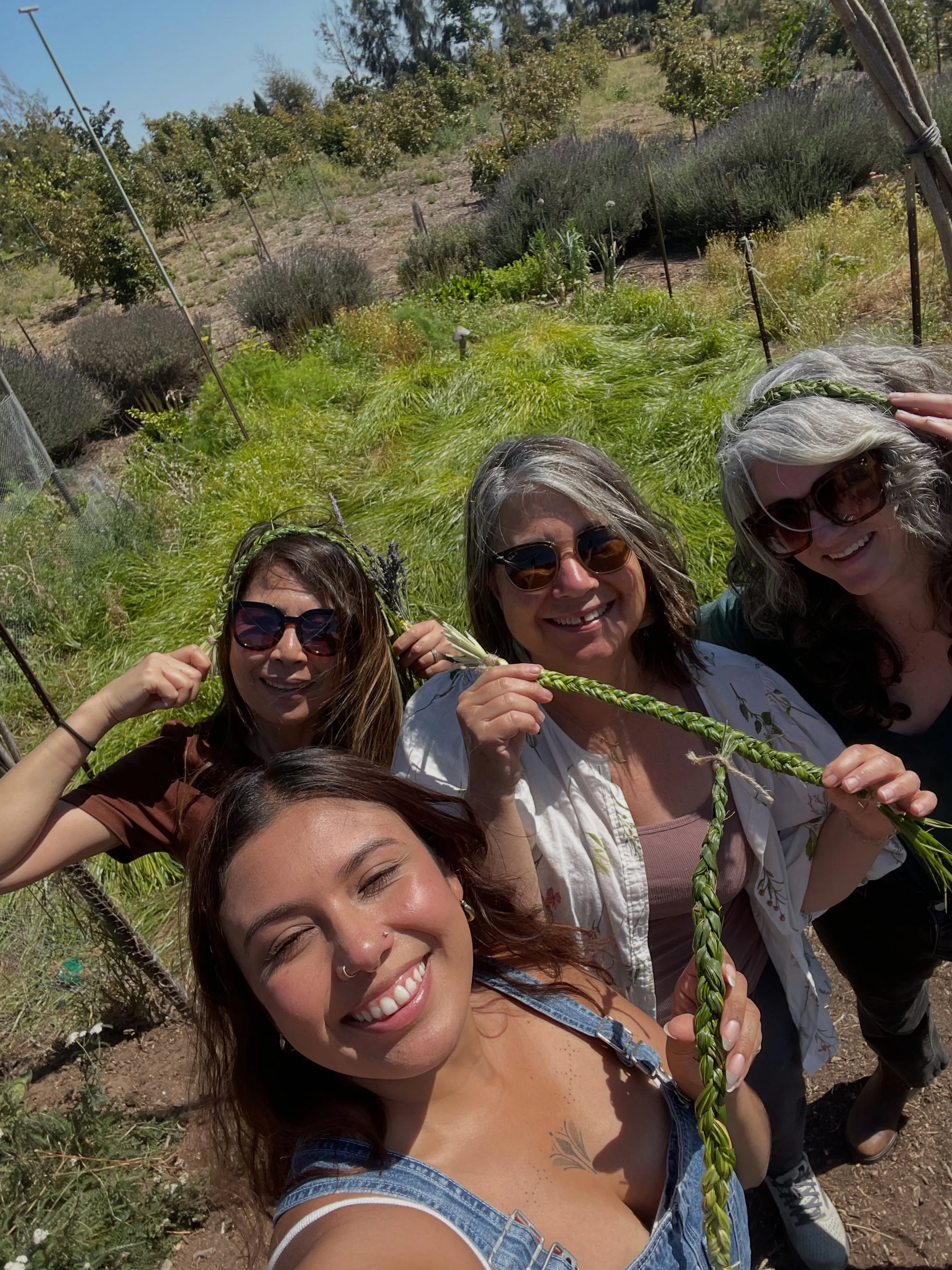 My path as an herbalist has been wandering and wondering. Sometimes I pinch myself to make sure I&rsquo;m not dreaming or maybe I am 💚

But in this season of sun and summer and sparks and joy and flowers and fruits and laughter and fun my heart fill