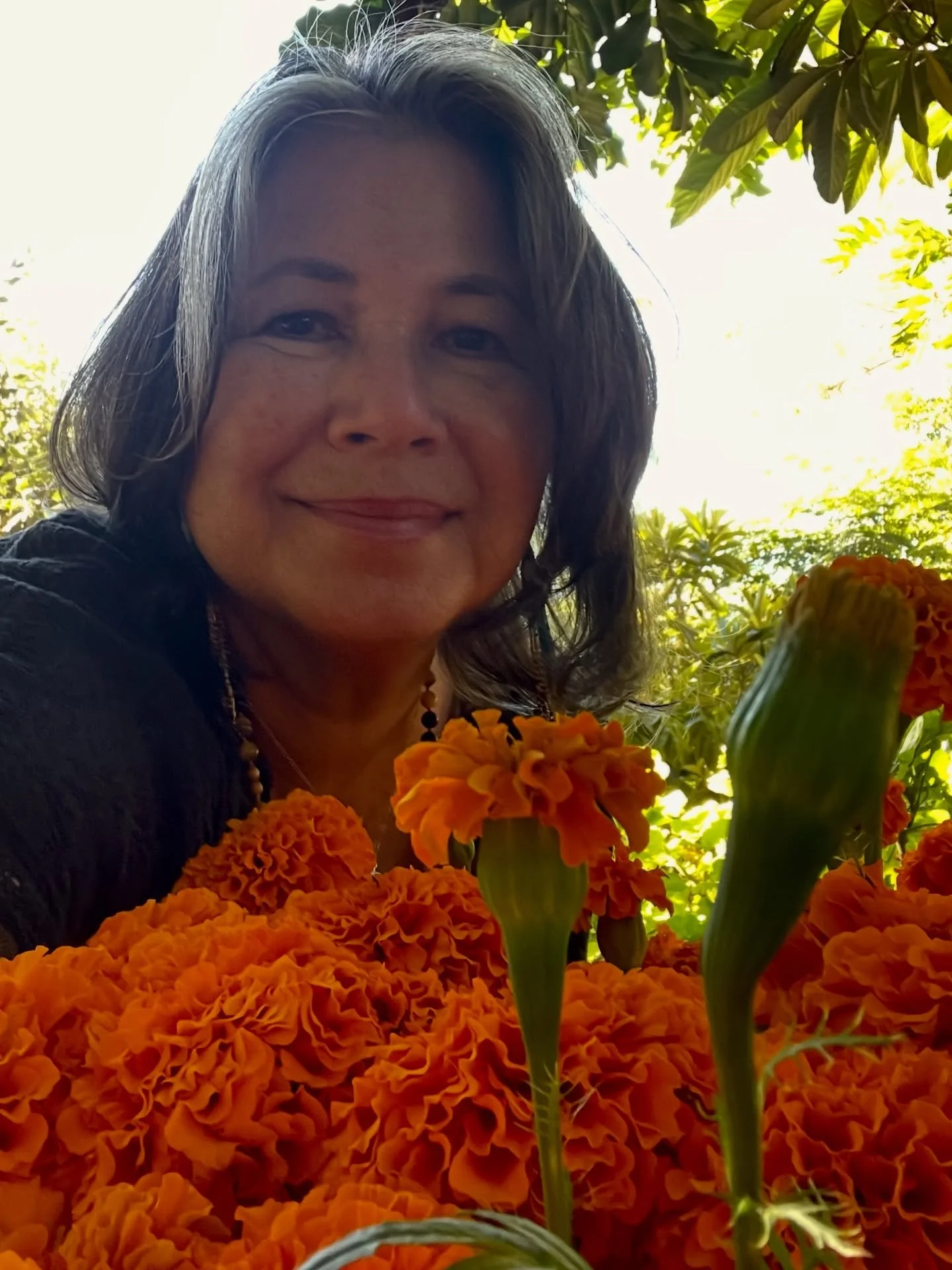 In my favorite place @worldbeatethnobotanysanctuary @worldbeatcenter with the beloved, beautiful and magical marigolds (Tagetes erecta) -cempas&uacute;chil in Spanish. 

Thank you @pixca.farm for theses exquisitely grown local 
cempas&uacute;chil. I 