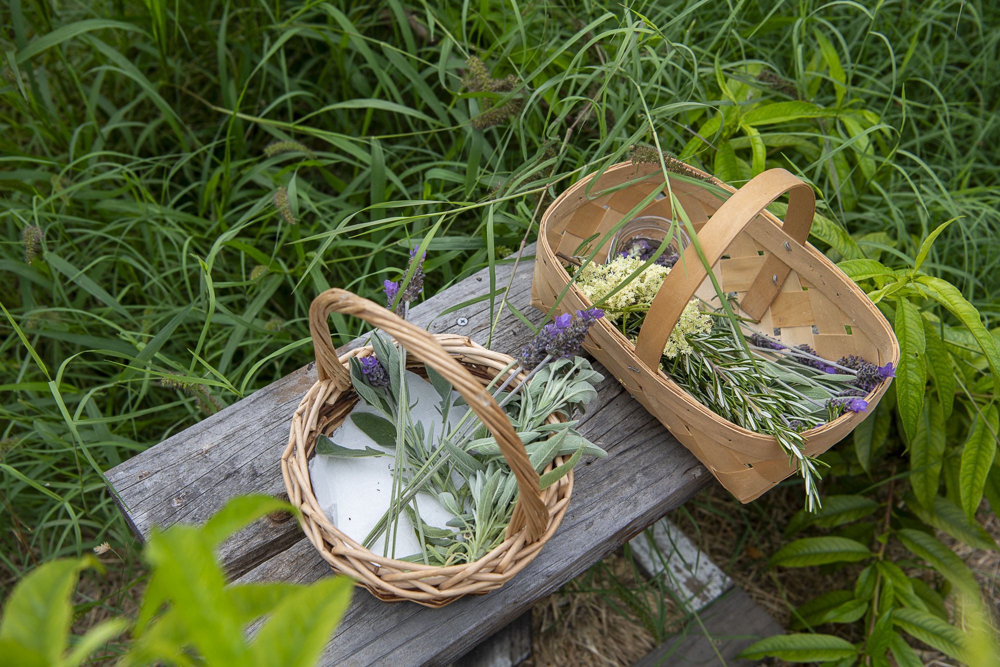 WWF_Baskets-915.jpg