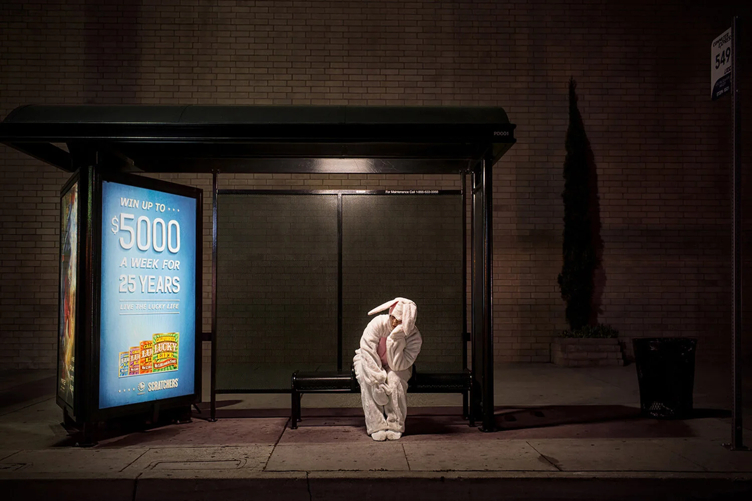 Professional commercial photography featuring an unlucky rabbit at a bus stop.