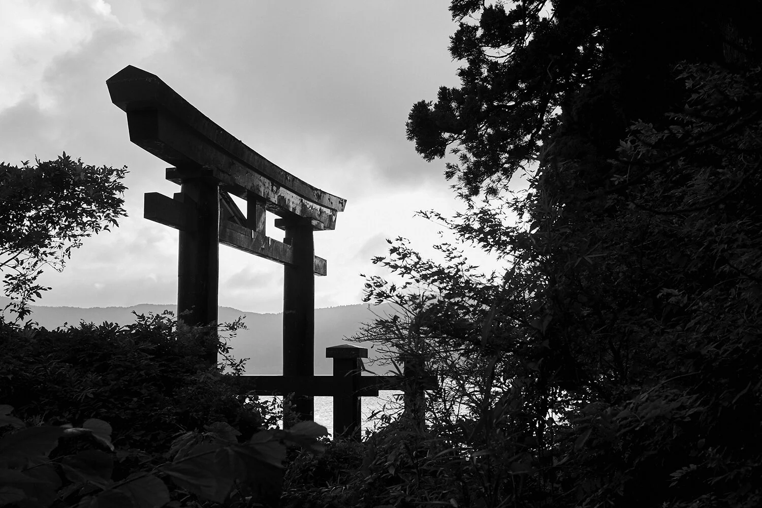 thisiskyle_kyle_ellis_photography_travel_japan_tokyo_kyoto_osaka_03.jpg