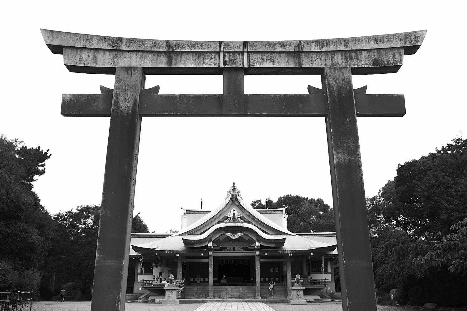 thisiskyle_kyle_ellis_photography_travel_japan_tokyo_kyoto_osaka_33.jpg