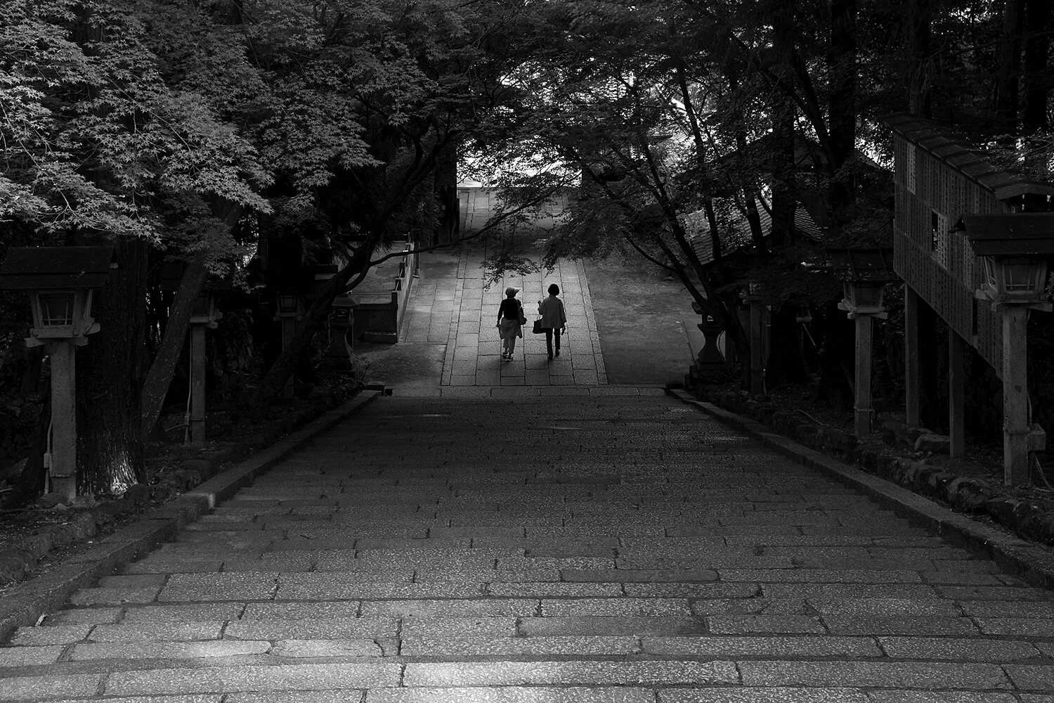 thisiskyle_kyle_ellis_photography_travel_japan_tokyo_kyoto_osaka_44.jpg