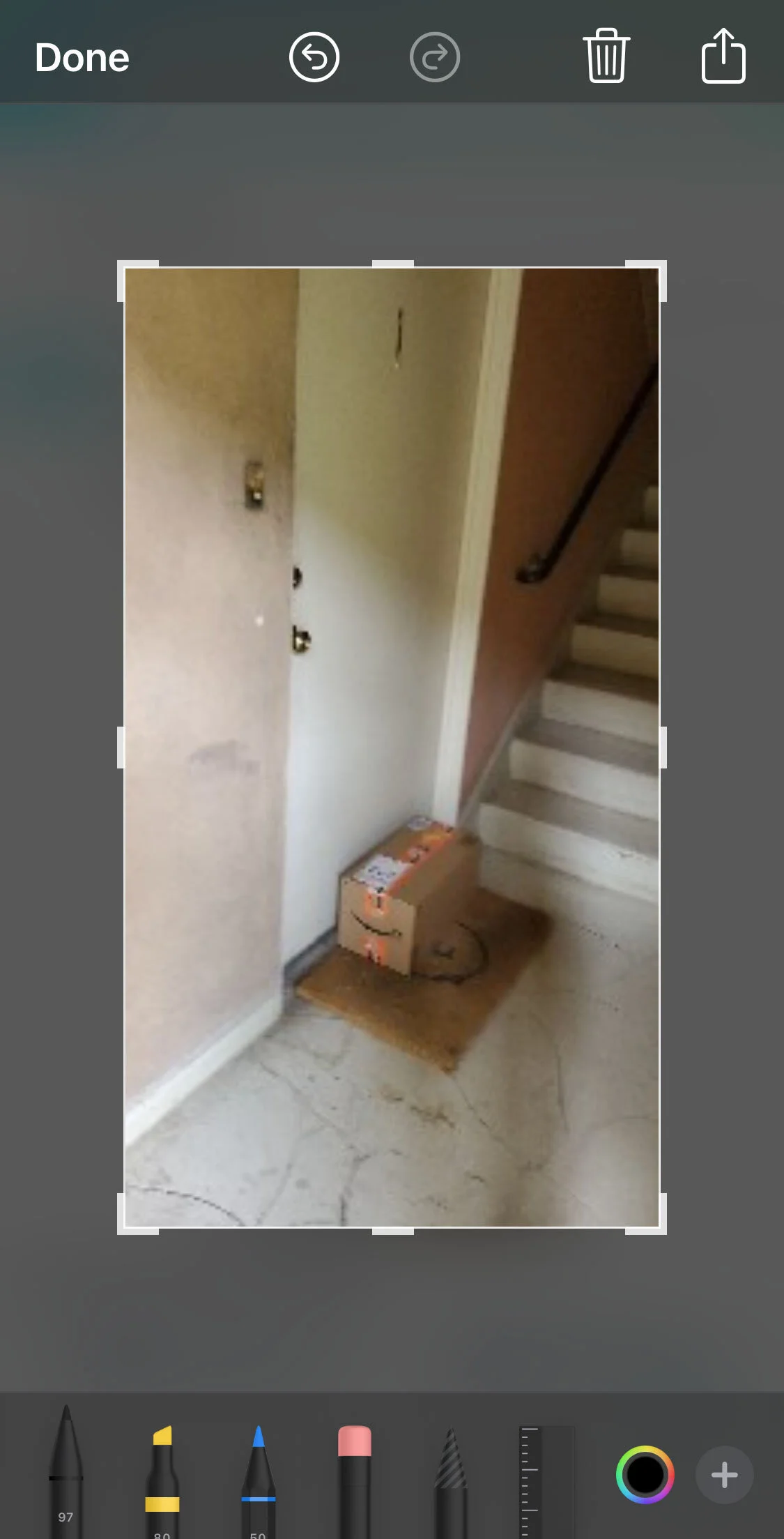 thisiskyle_amazon_photo_critique_submission_4.jpg
