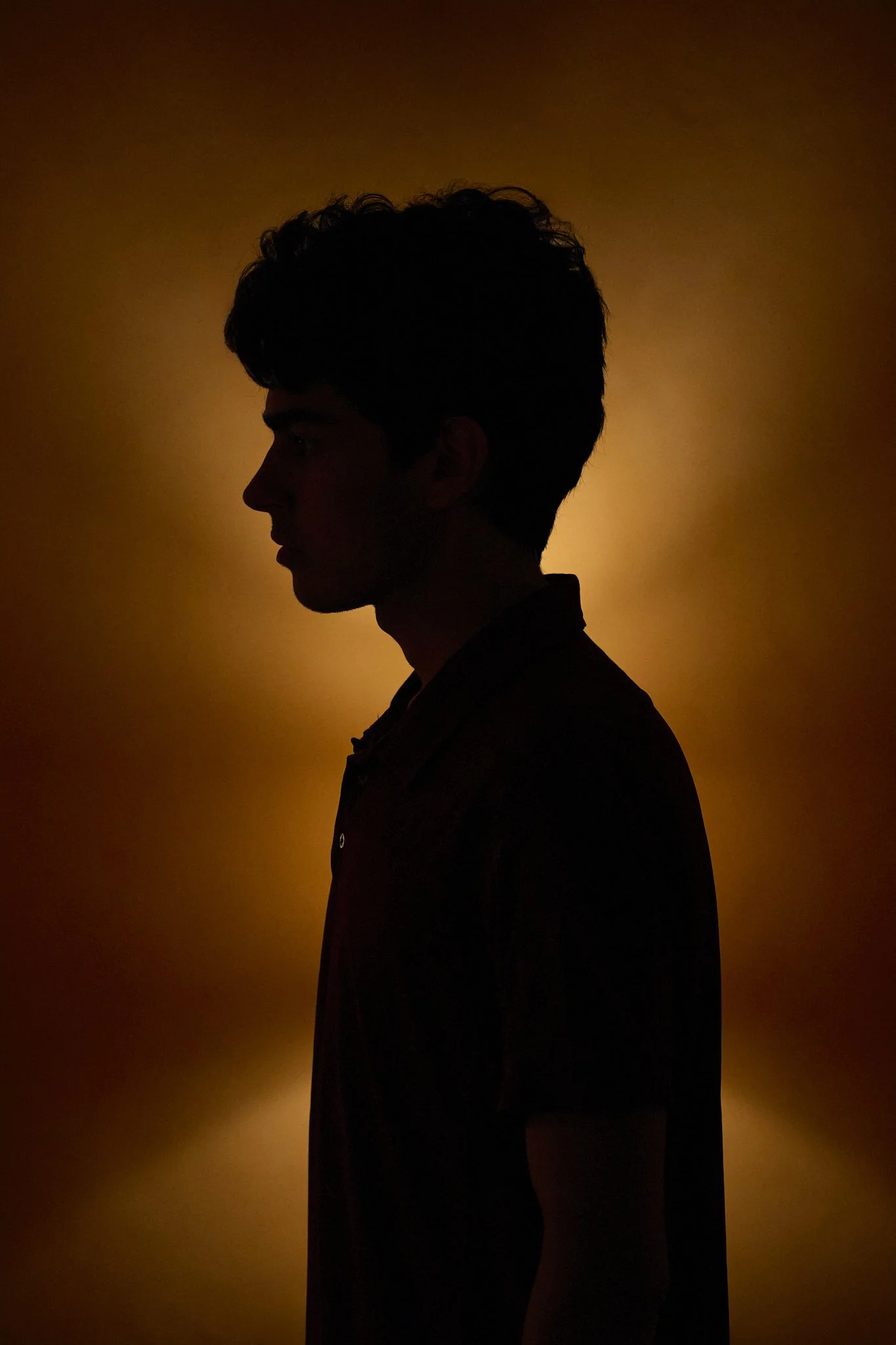 Professional unit still with the silhouette of a man's profile against a warm, softly lit background, for the short film "the Harvest."