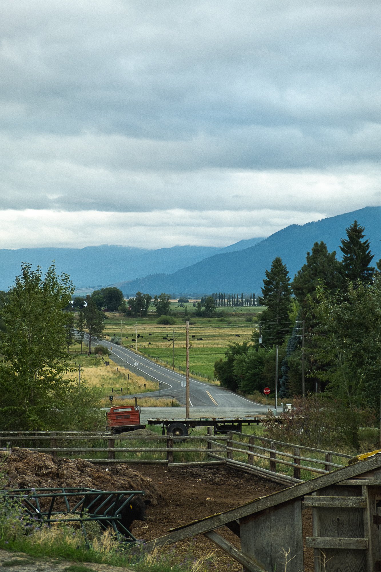 BinghamAug2023-111.jpg