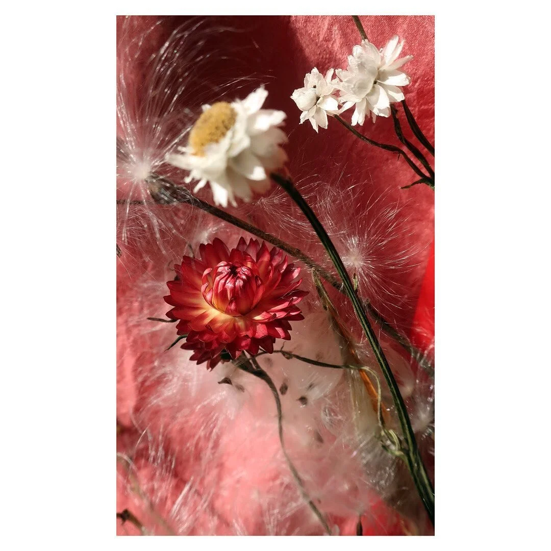 Ended the year making this strange dramatic still life. I made it while I had Covid, &amp; in the wake of a neighbor&rsquo;s sudden tragic death, thinking about our fragile, visceral bodies getting to love one another.  It is in direct relationship w