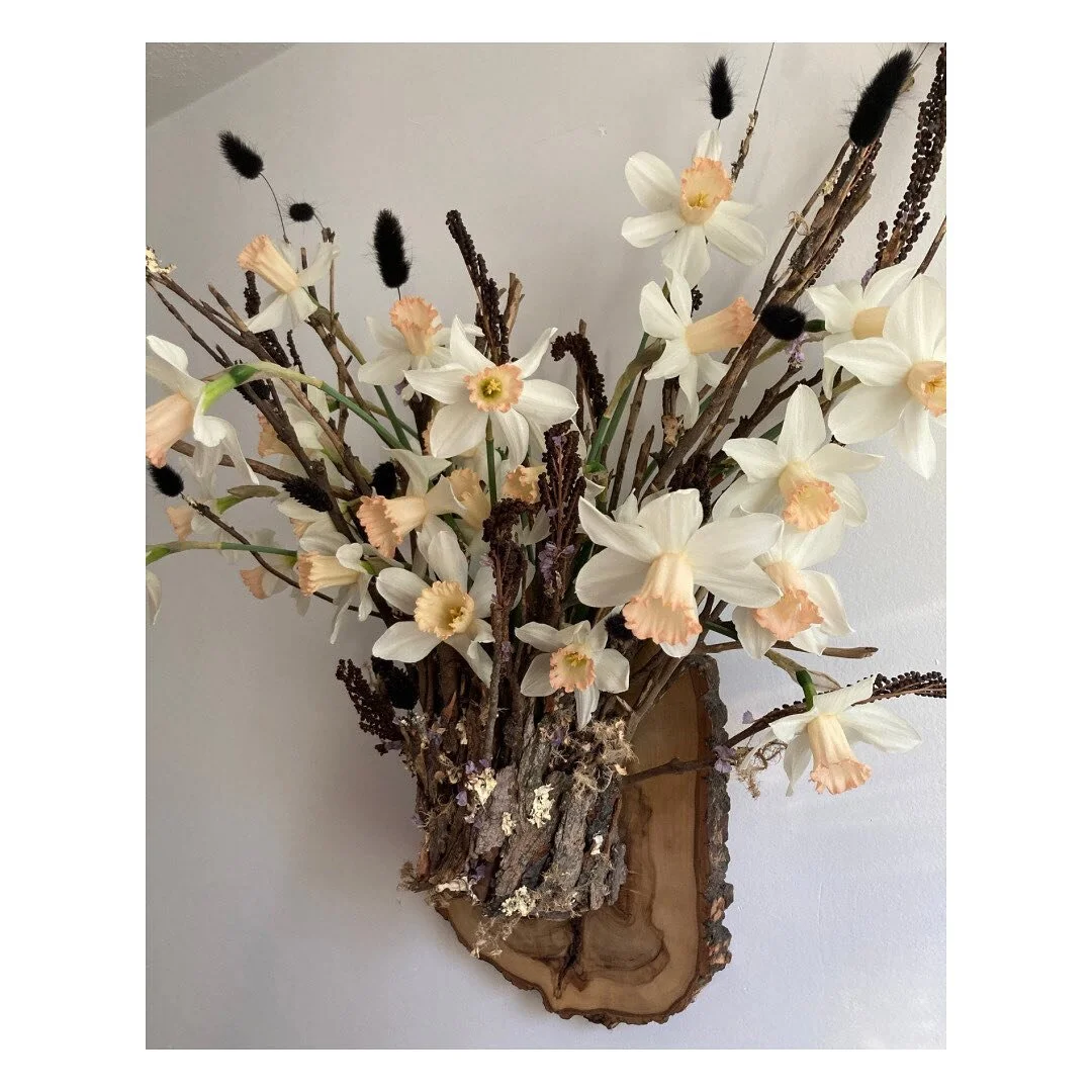 Leaving IG for my annual winter social media break, but first finally posting this &ldquo;vegan&rdquo; wall mount that I&rsquo;ve made a few of recently. It&rsquo;s got branches instead of antlers &mdash; rather than glorifying death, this design is 