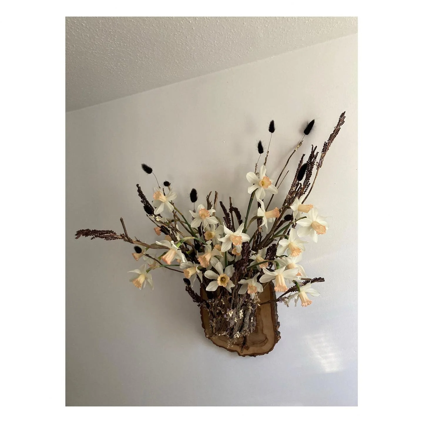 Leaving IG for my annual winter social media break, but first finally posting this &ldquo;vegan&rdquo; wall mount that I&rsquo;ve made a few of recently. It&rsquo;s got branches instead of antlers &mdash; rather than glorifying death, this design is 