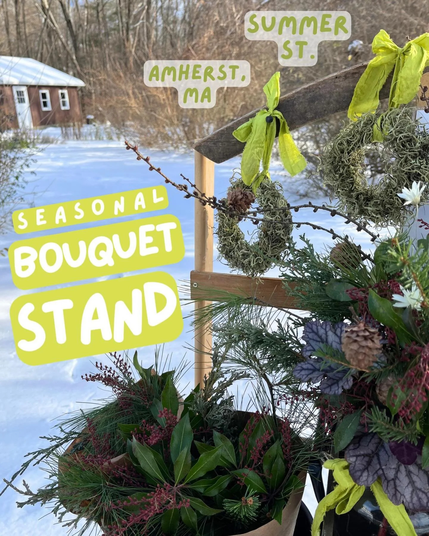 I am committed to providing seasonal, affordable, locally grown floral goods to my North Amherst neighbors as long as the weather will allow it

Stop by the stand on Summer St. in North Amherst to snag a lil something &amp; support me in this work!