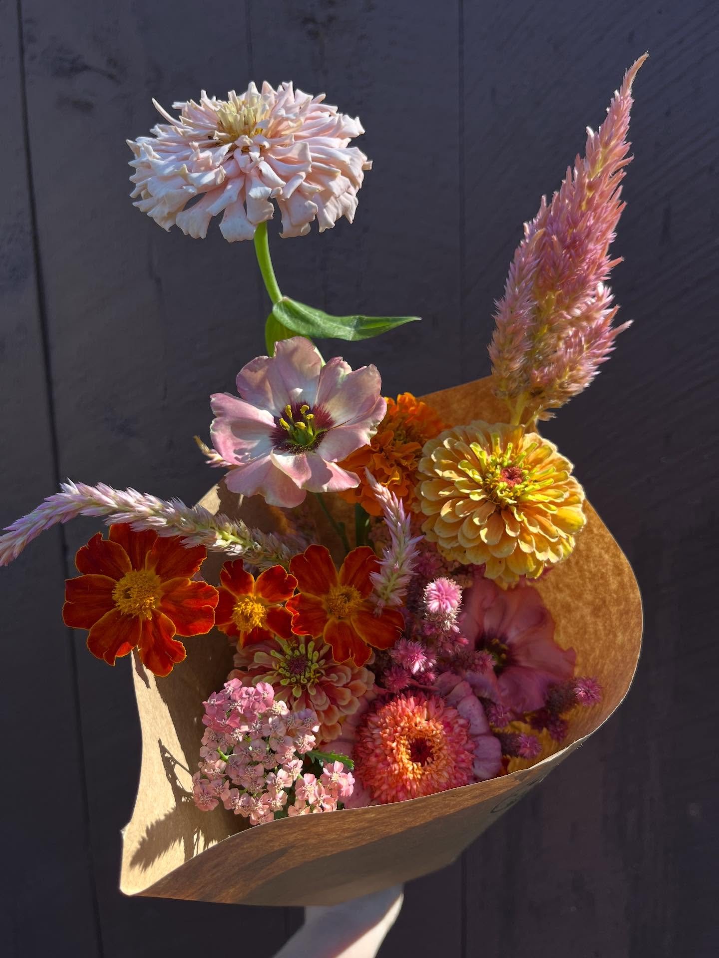 Reminiscing about some sweet lil bouquets from this summer as first snow heads our way.

I&rsquo;m committed to providing locally grown, interesting, long-lasting, and affordable flowers to my neighbors in North Amherst. Weather permitting, the stand