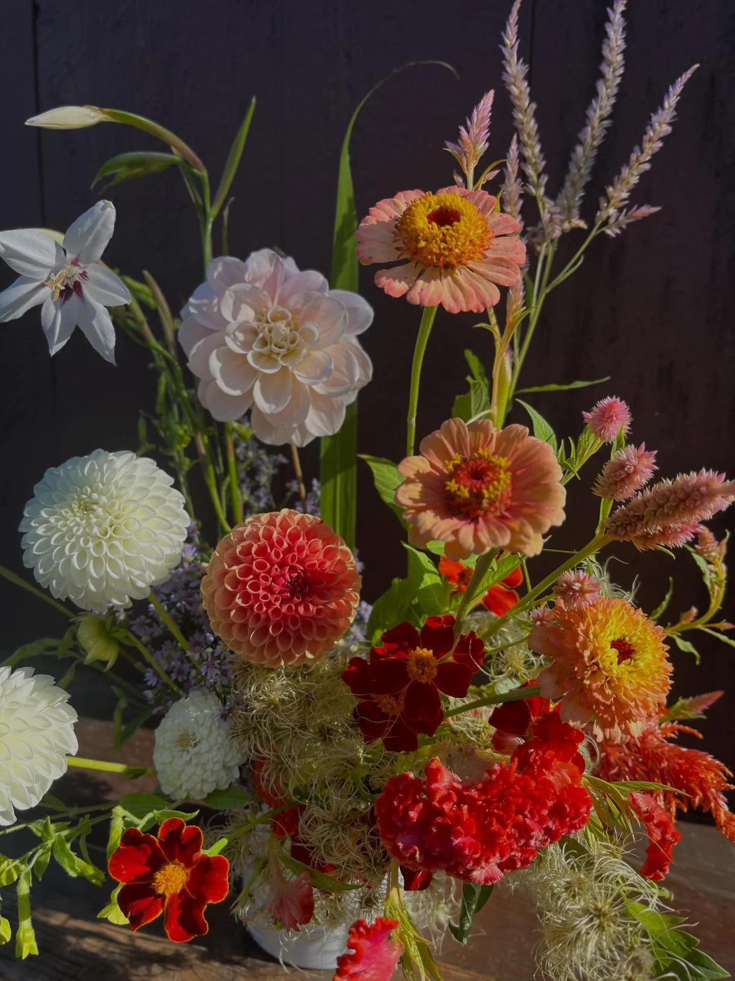 Locally grown, custom designed autumn textures

Vase arrangements in 2 sizes (Small: slides 1-3, Large: slides 4-6 Both: slide 7)