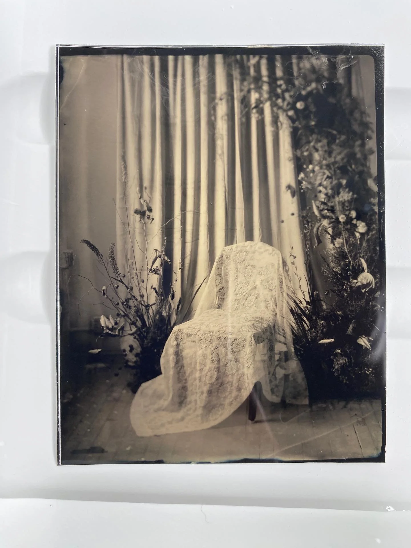 @goodmorningstrid makes images that are physical objects. Tintype photography is perhaps an antidote to our digital times (also literally sheets of metal that can withstand both fire and flood 💀)

Botanical backdrop collaboration with @kendyllgageri