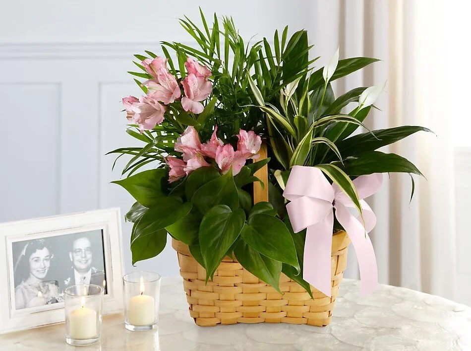 Berea Florist Momma's Flowers and More, LLC