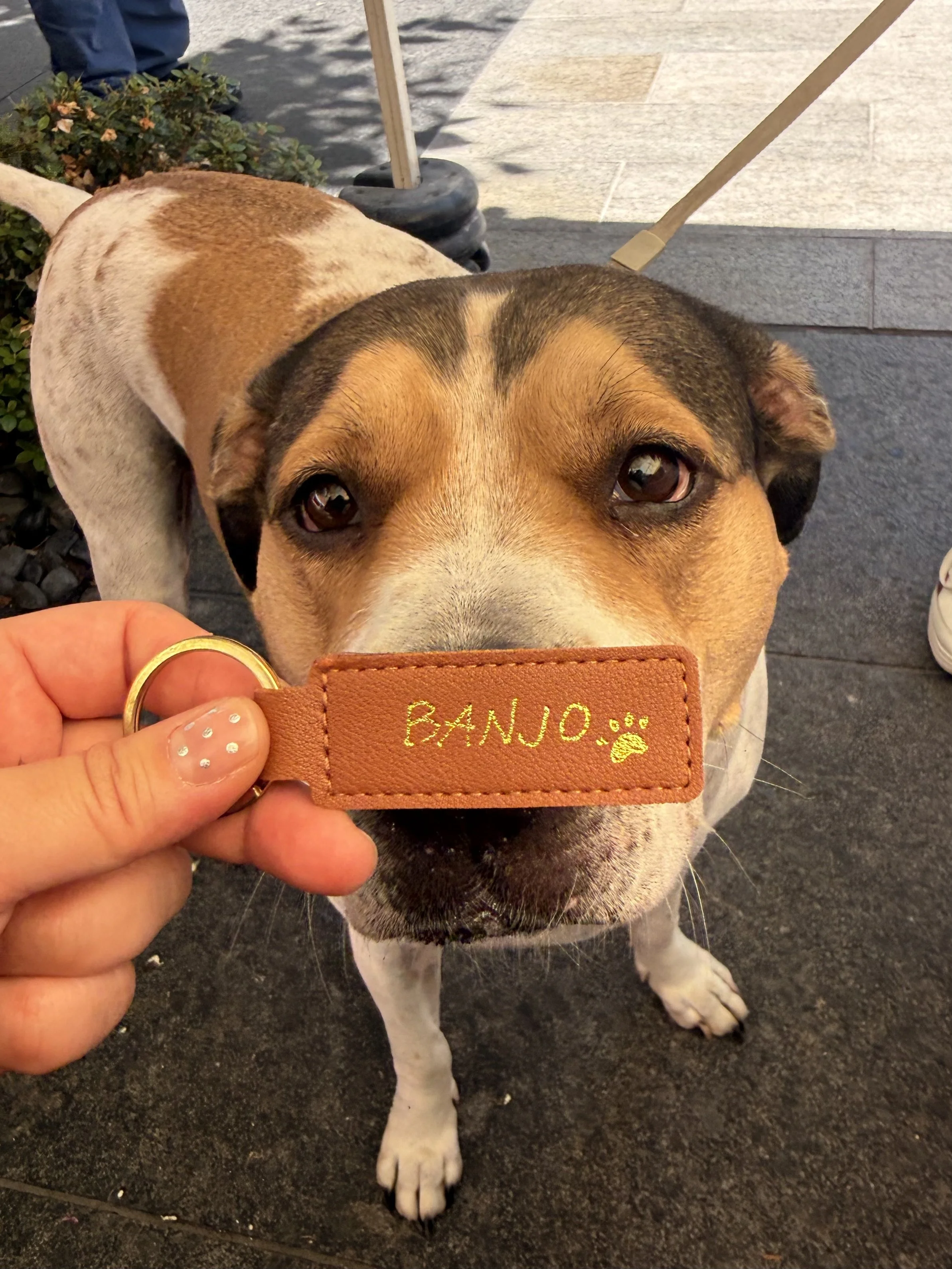 dc-live-event-calligrapher-dog-tags.jpeg