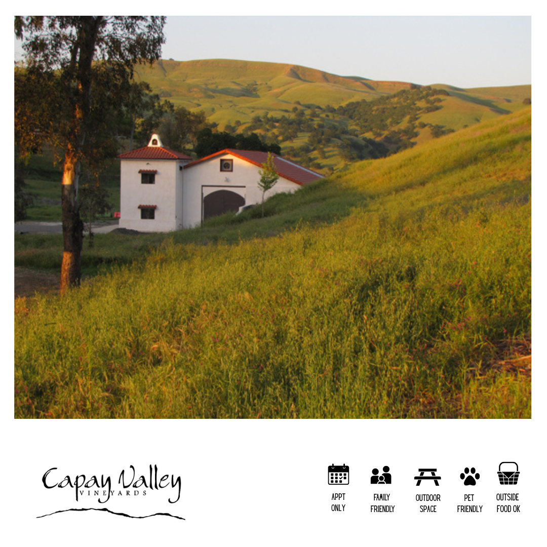 Capay Valley Vineyards