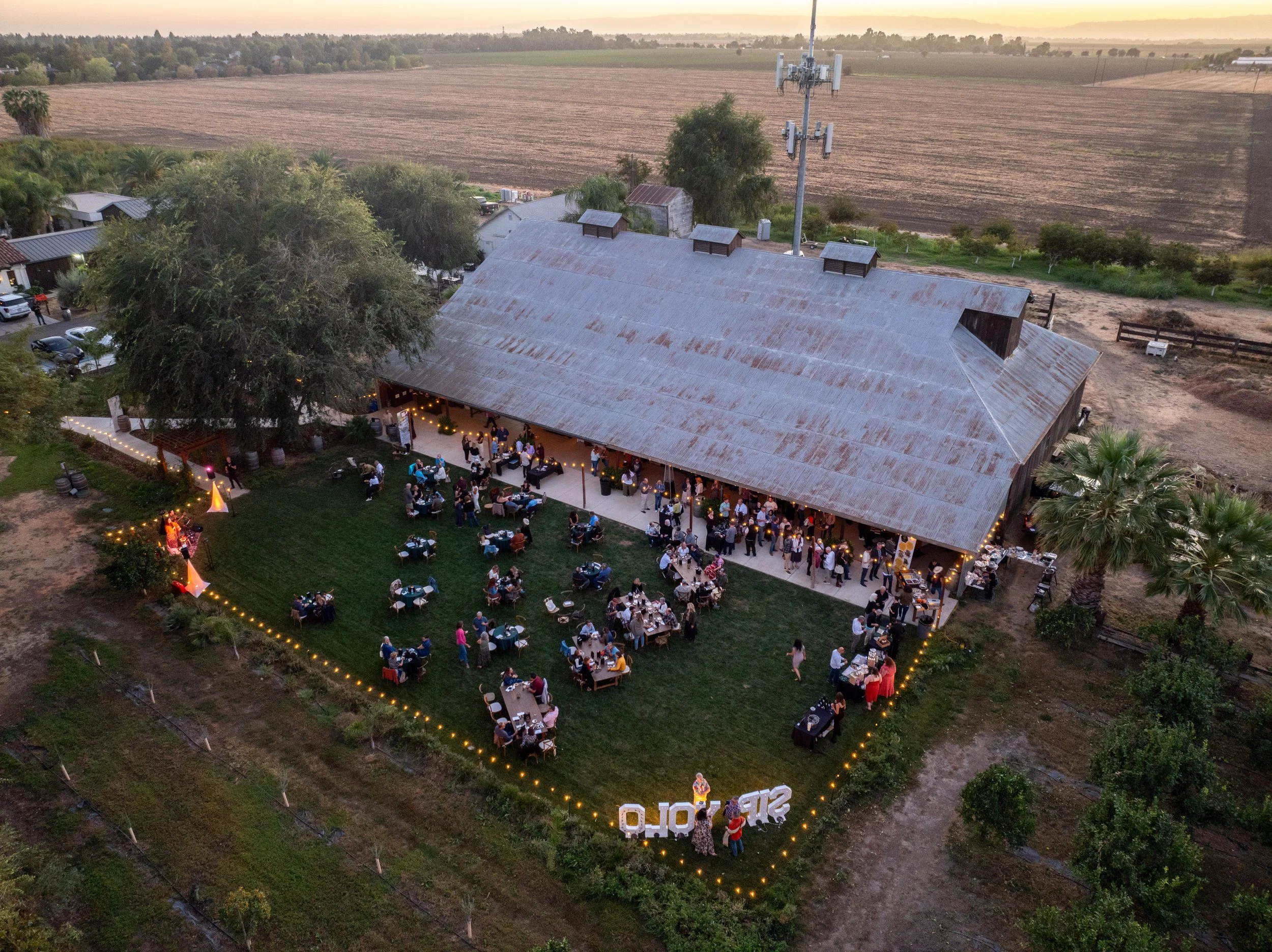 VD - Great Bear Vineyards-273.jpg
