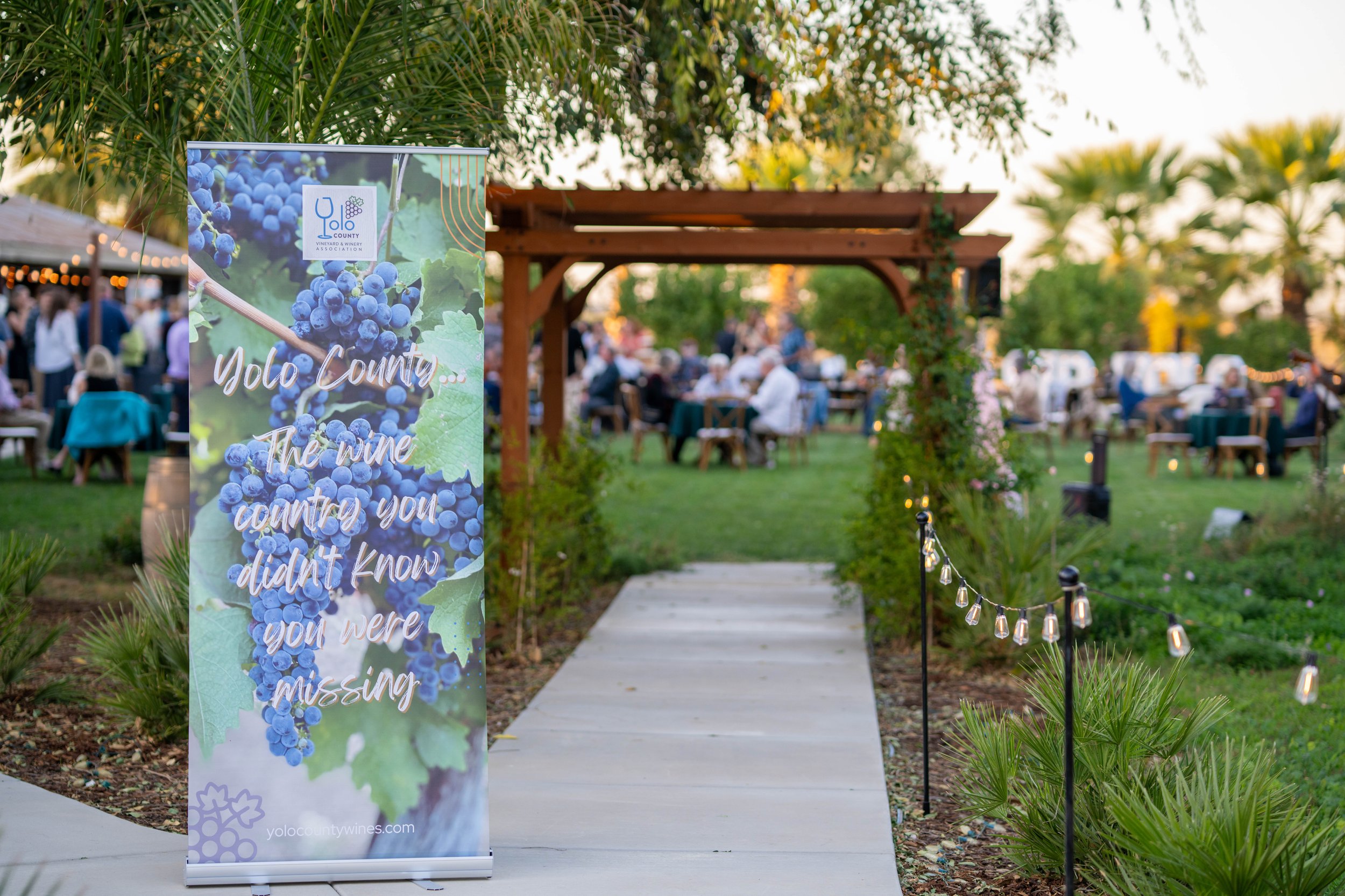 VD - Great Bear Vineyards-245.jpg