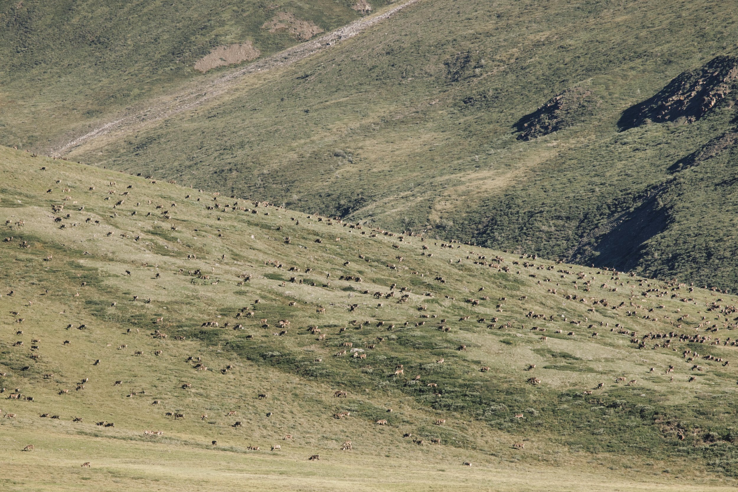 Imago_EJS_0721_-53.jpg