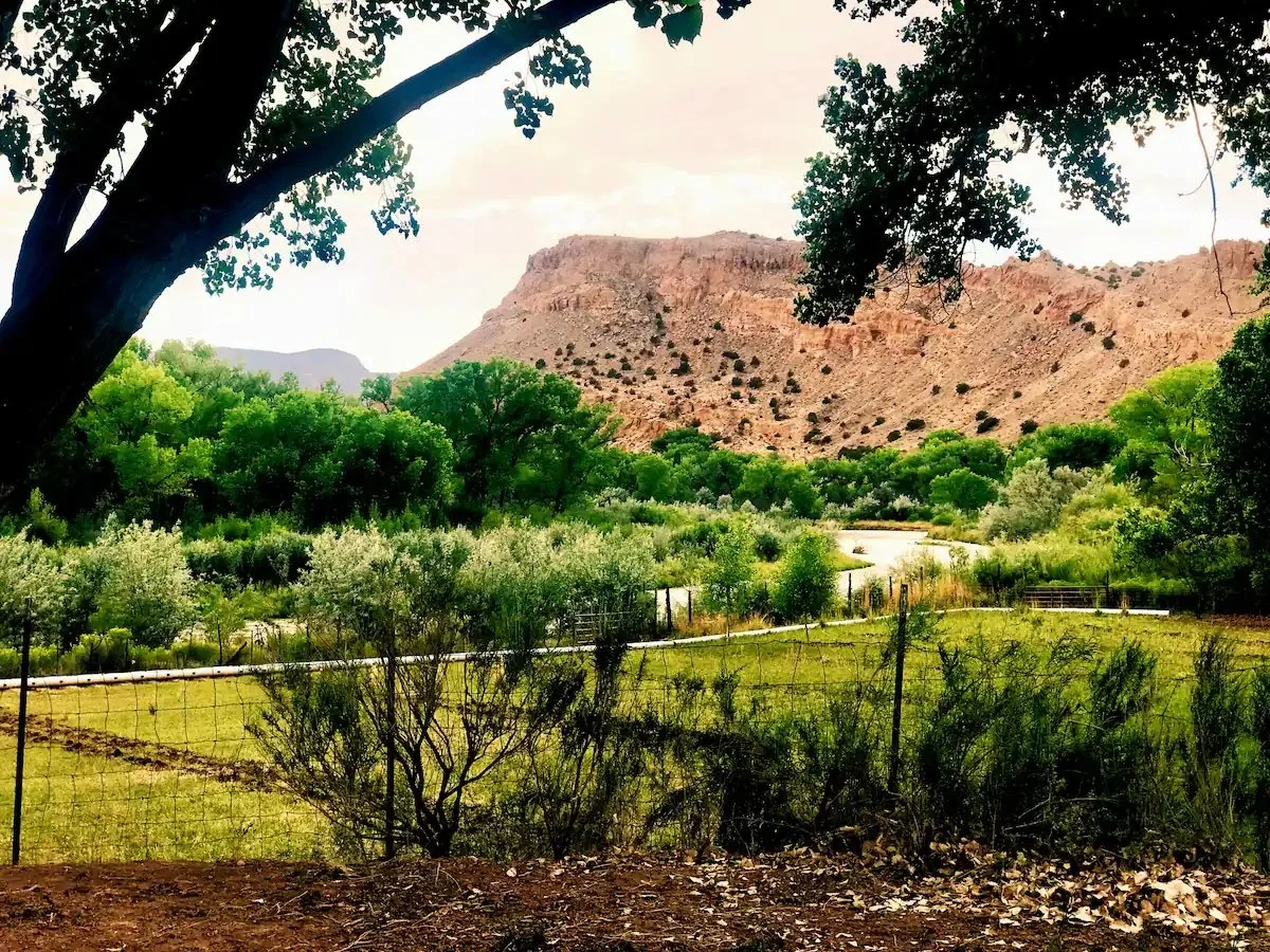 RLM back yard view.jpeg