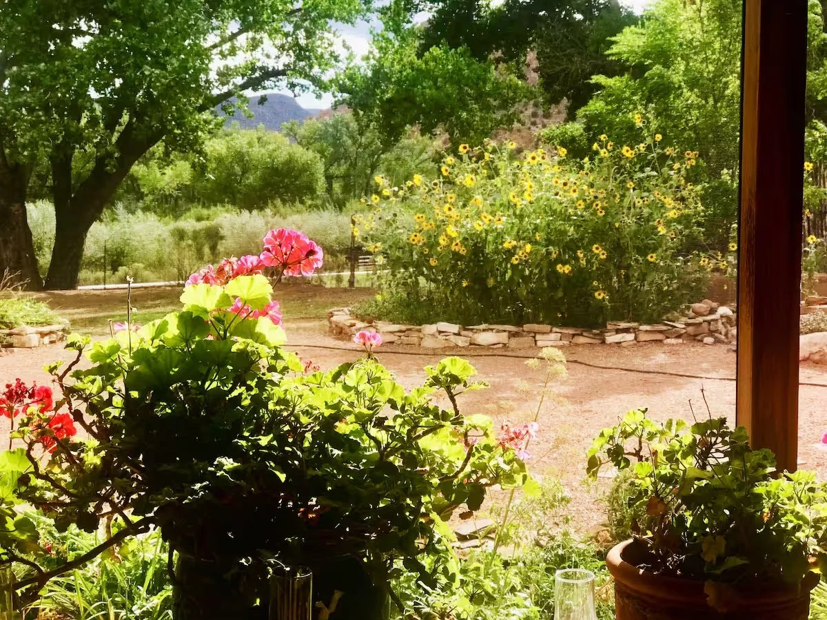 RLM sunroom view.jpeg