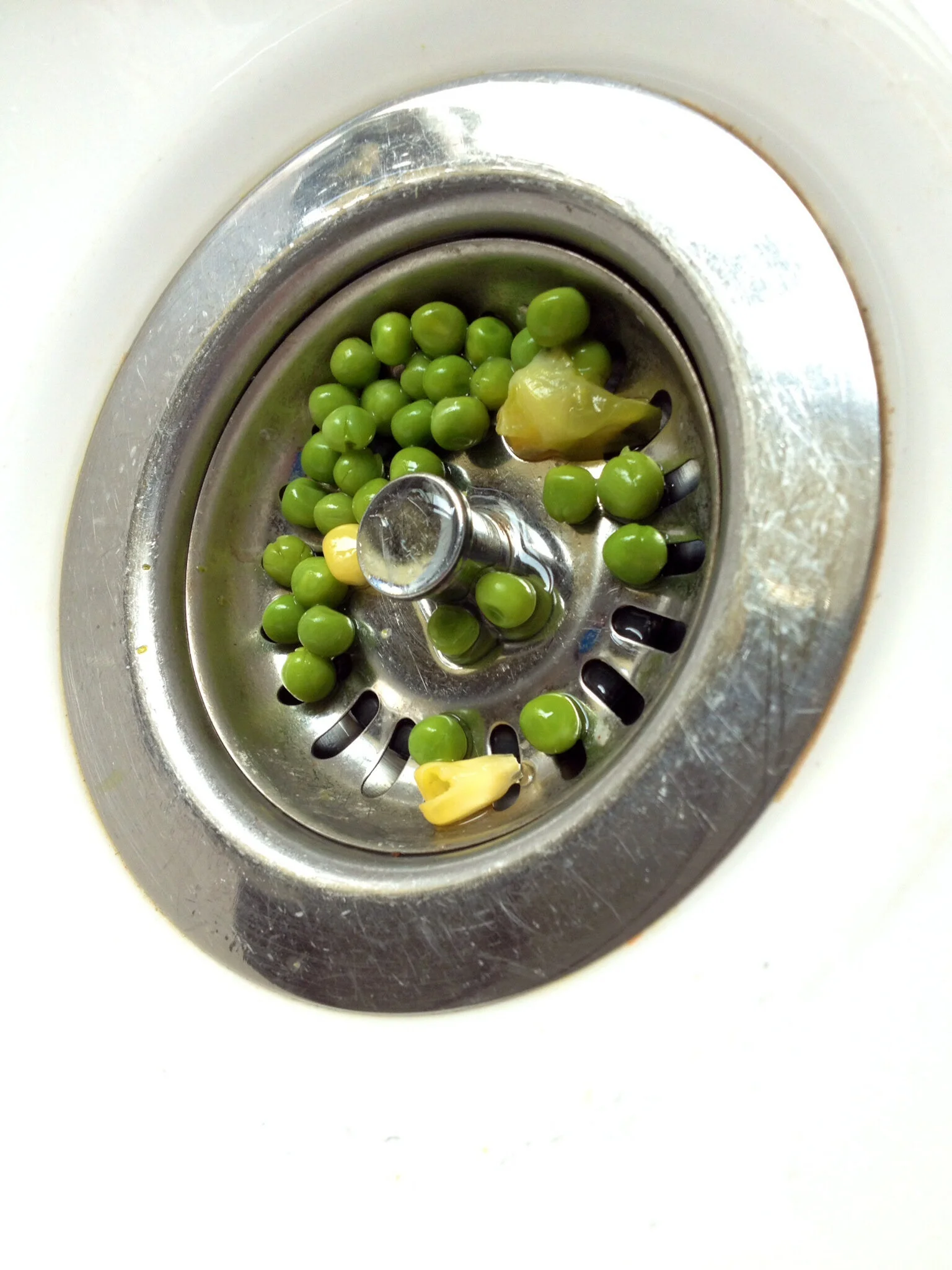 Why is my toilet gurgling? Are my drains blocked? — Pipe Doctor