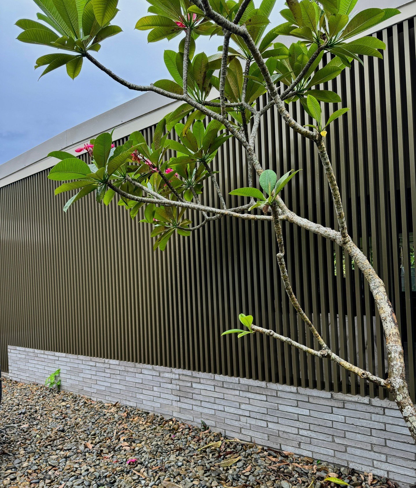 BATTENS - Powder coated in anodic bronze, satin black, pearl white, monument, timber imaged in a western red cedar finish or available in mill finish for that ultimate custom job. Aluminium battens extrusions are available in various profiles with ma