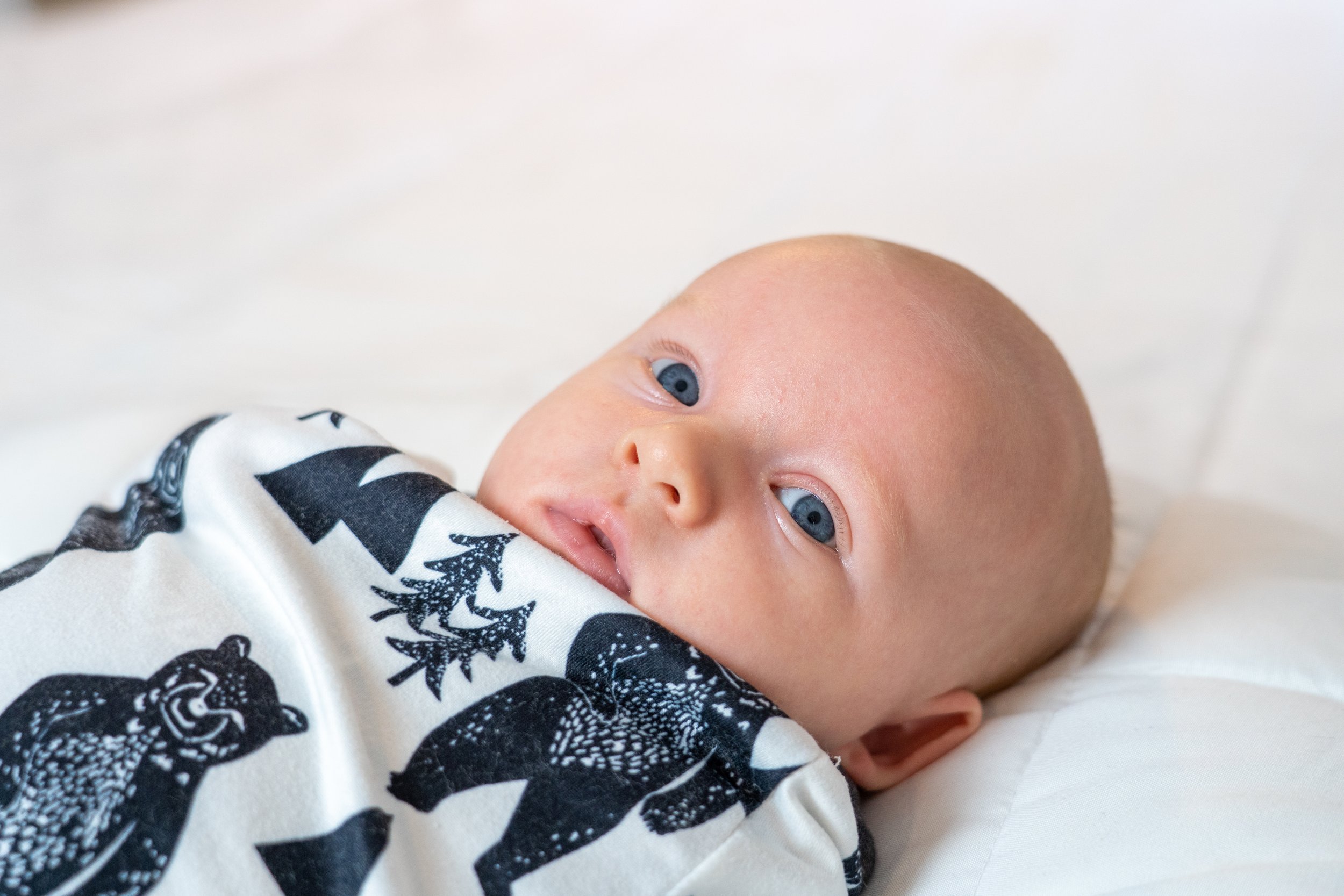 DC newborn photographer