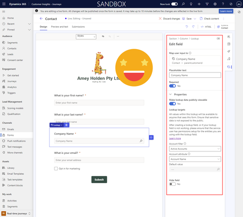 Formname Lookup Add the Account/Company Lookup field to a Dynamics 365 Realtime ...