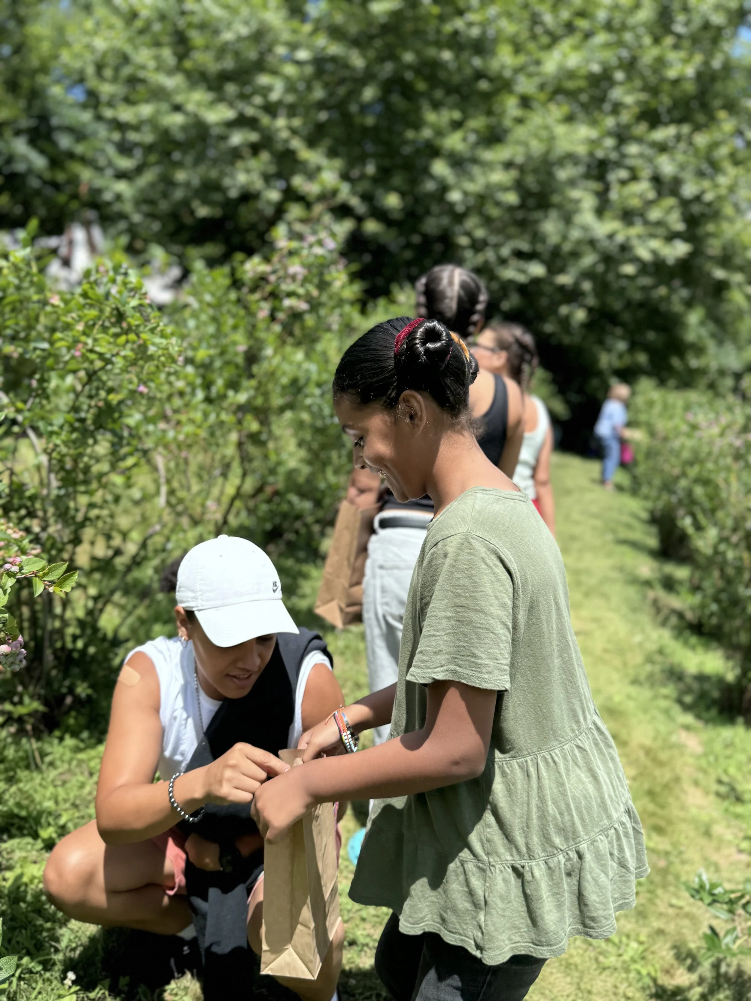 Blueberry Picking & Ann’s House