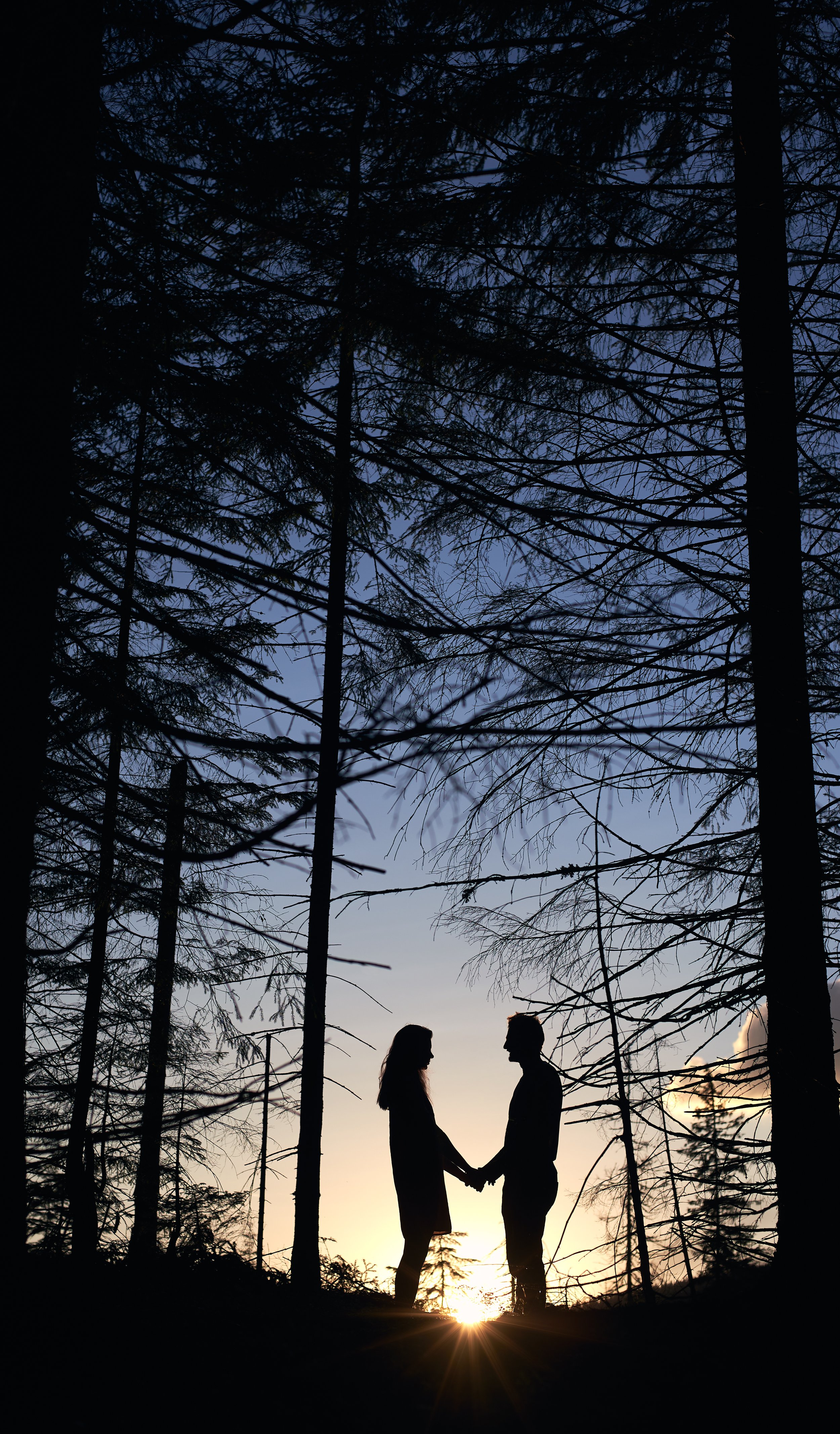 A silhouette of a couple holding hands in a forest at sunset, with tall trees and branches silhouetted against the sky.
