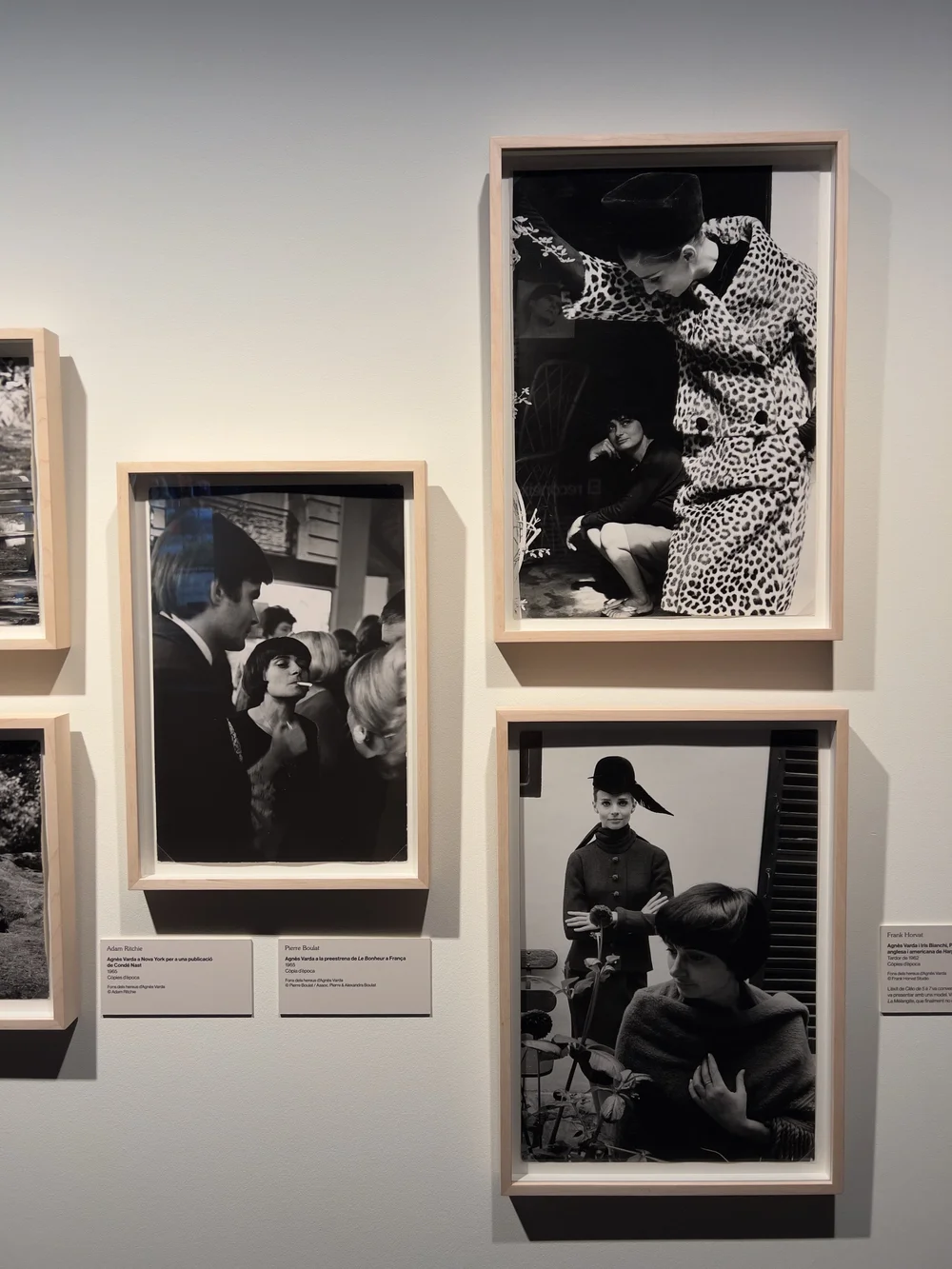 一些没有见过的照片