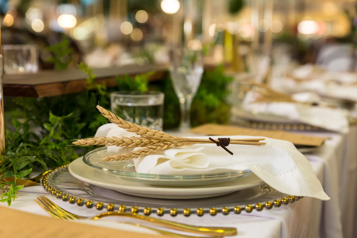 BAC - Paddock to Gate March 2018 LR-1003.jpg