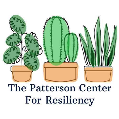Internship Programs  The Patterson Center for Resiliency, LLC