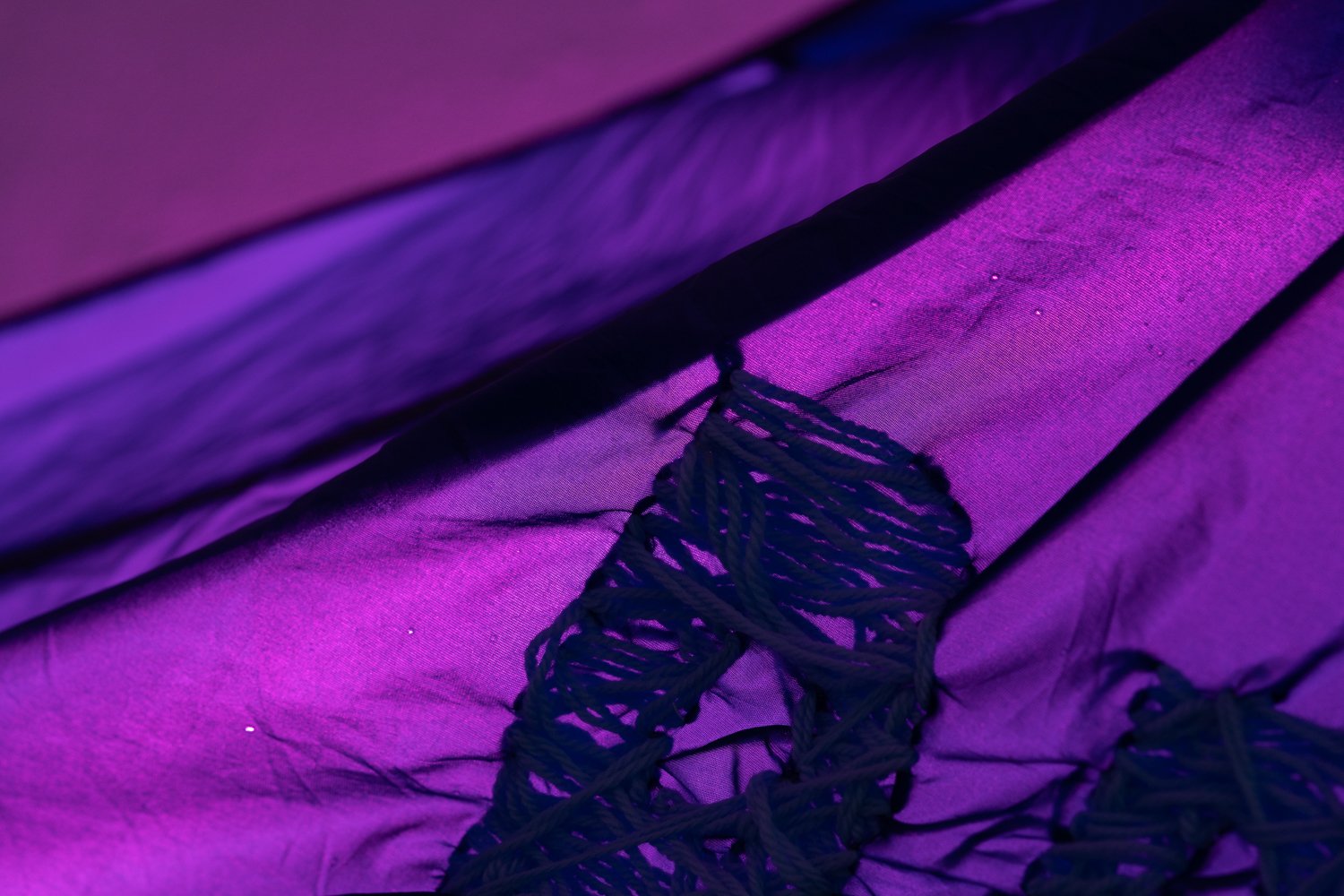 Gala Jane_Rubicon_2024_Web-12.jpg