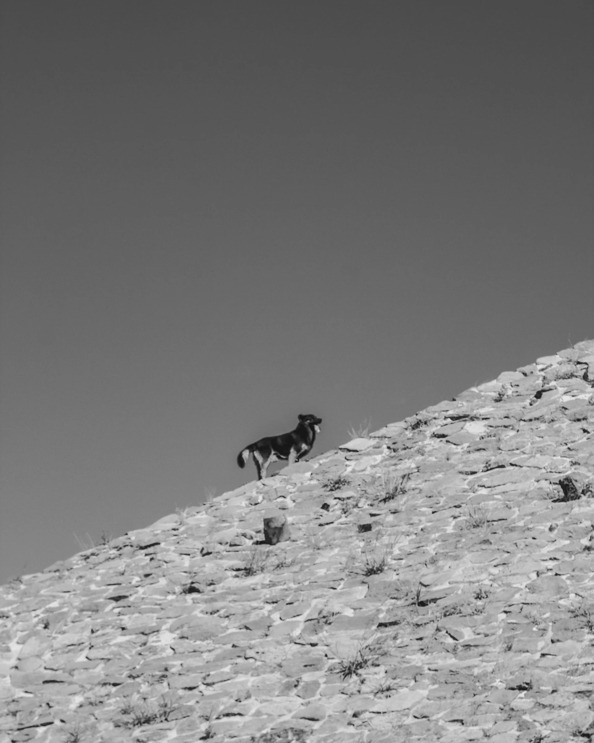 Templo de Perro.jpg