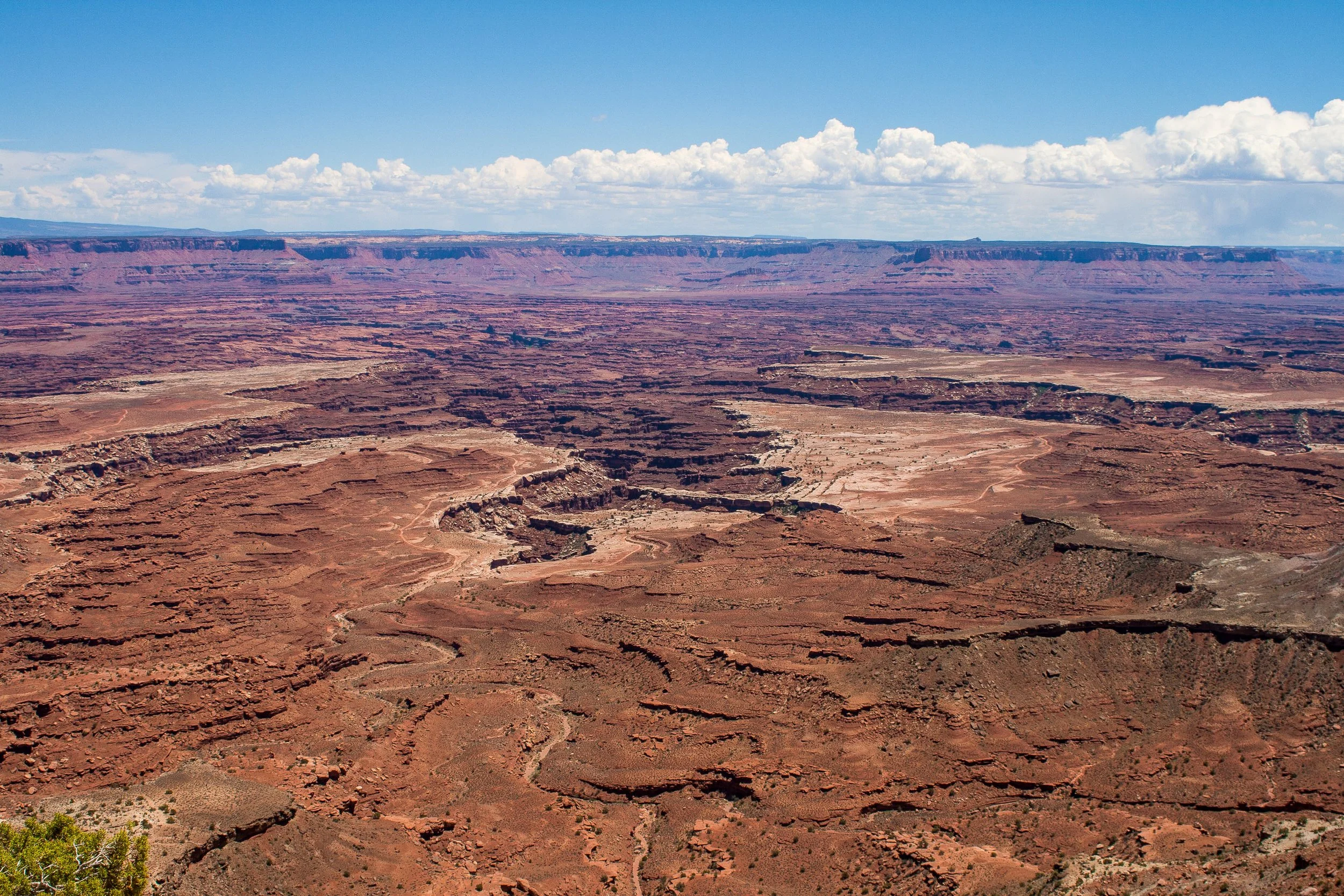 IMG_8658Final filter.jpg