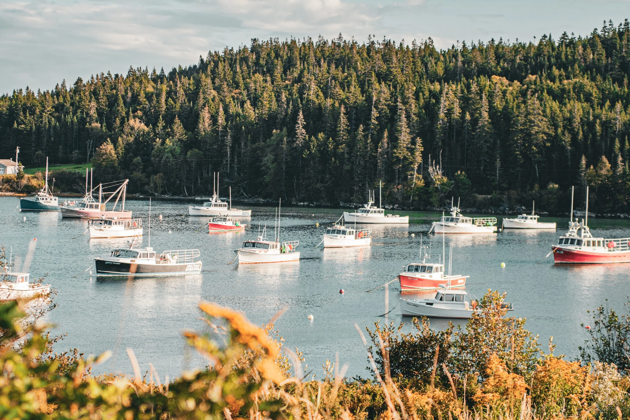 Maine