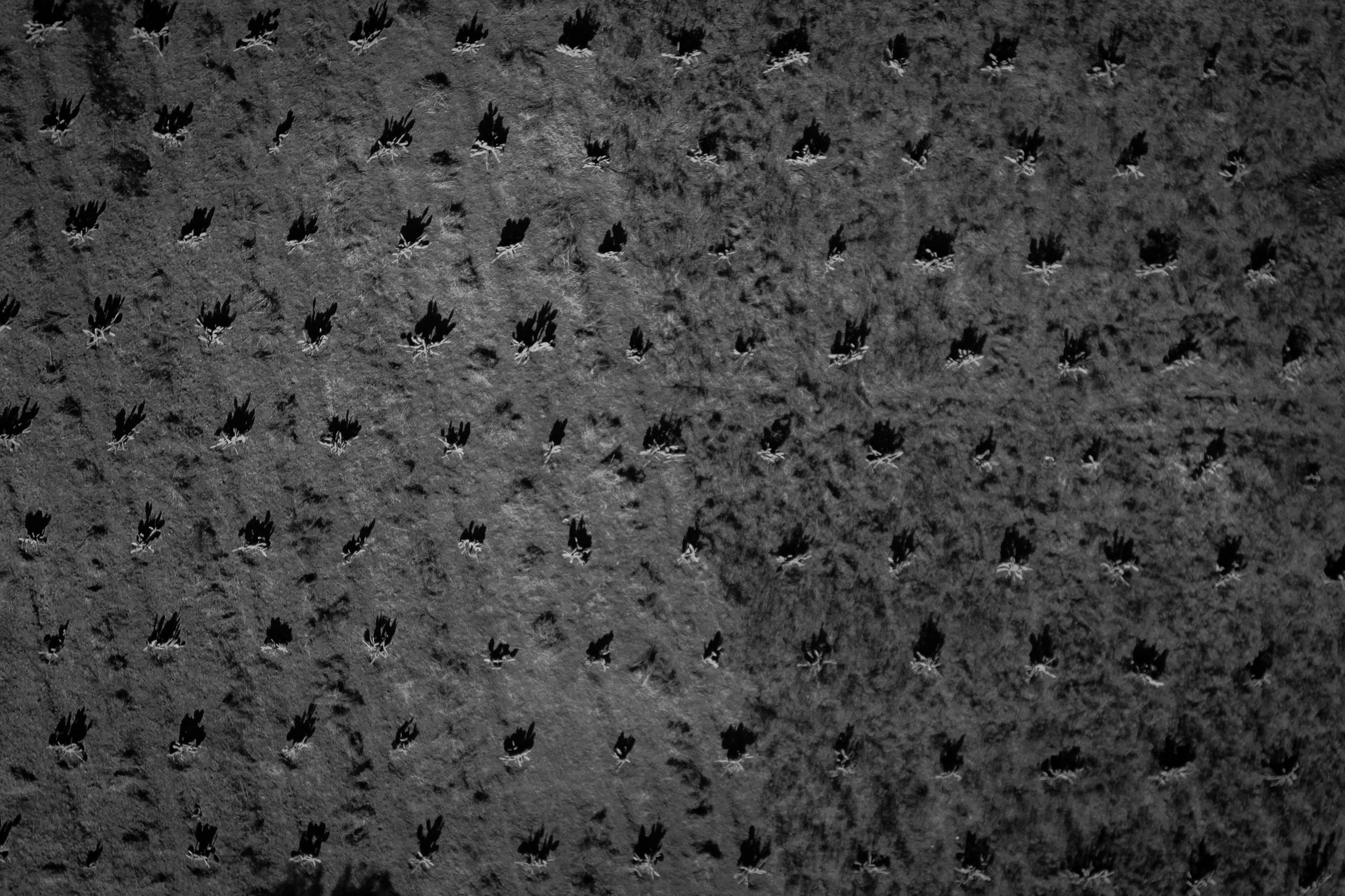 CDMX_001-86.jpg
