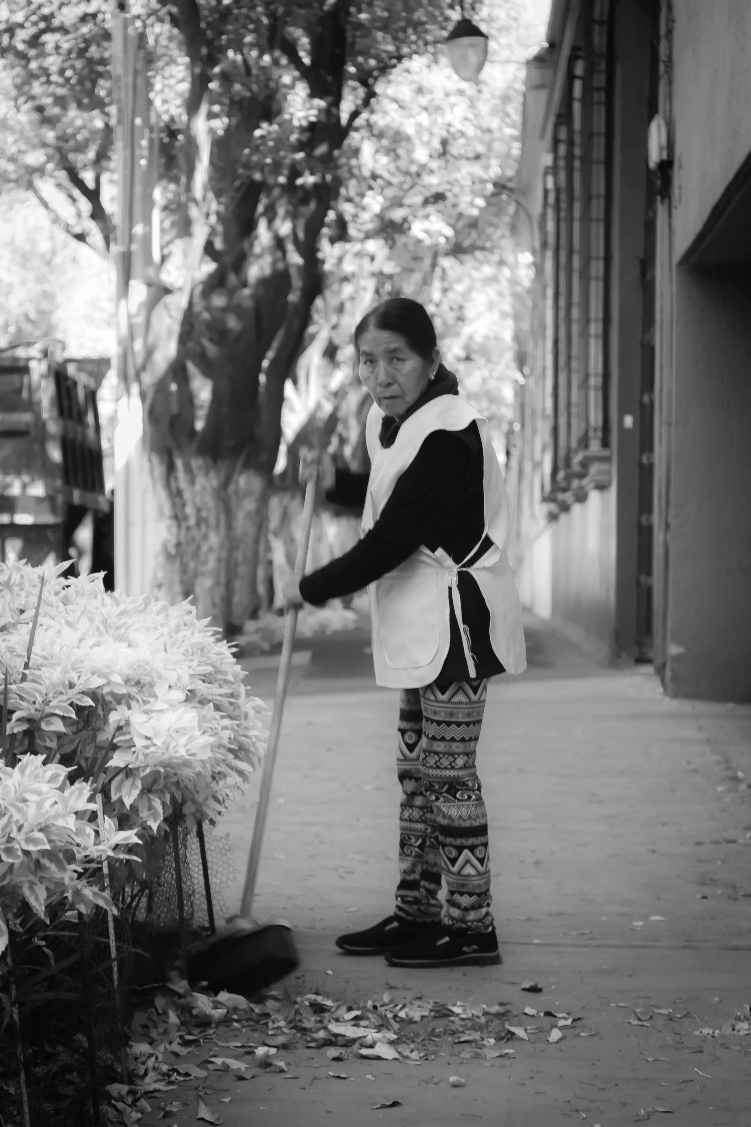 CDMX_001-7.jpg