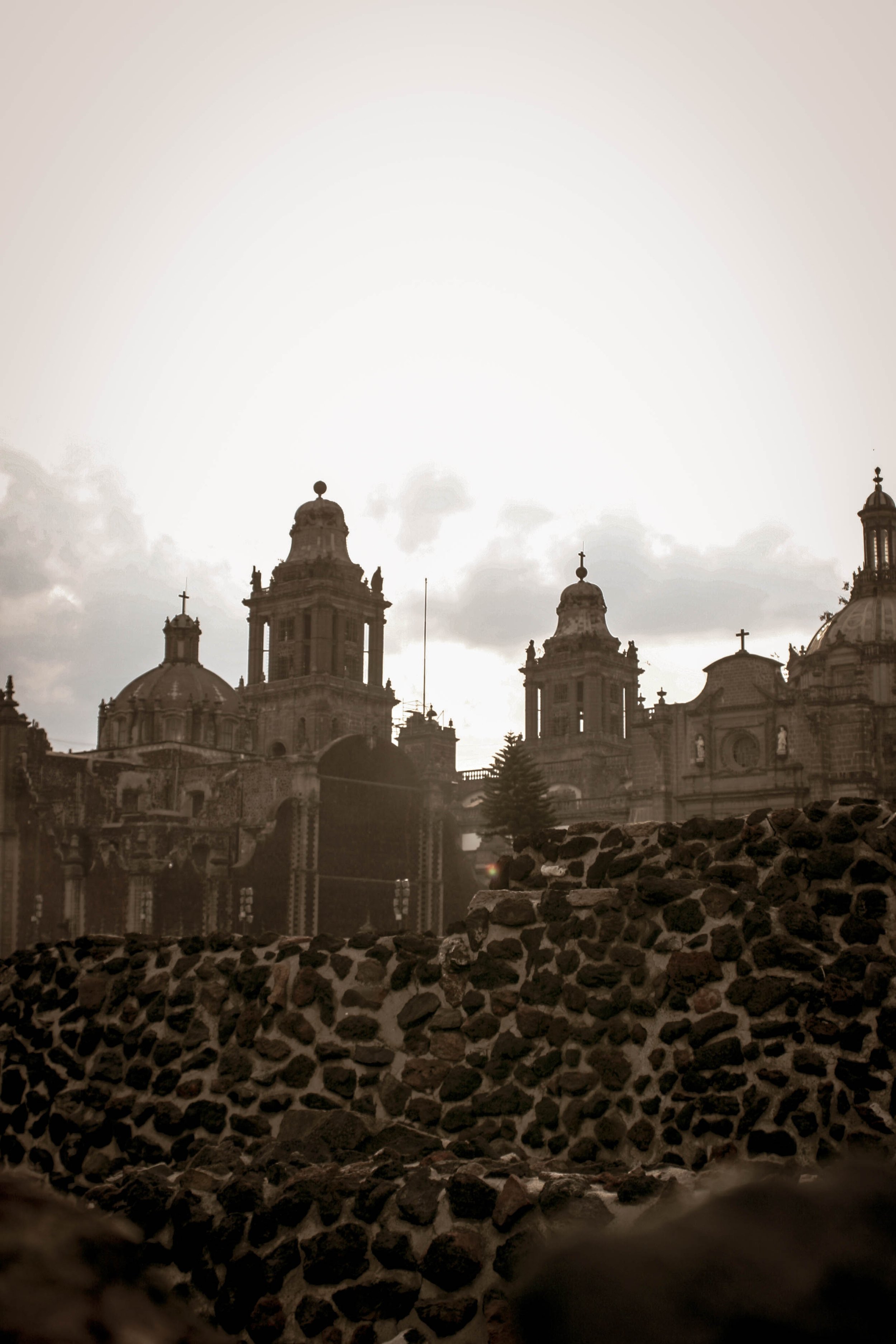 CDMX_001-36.jpg