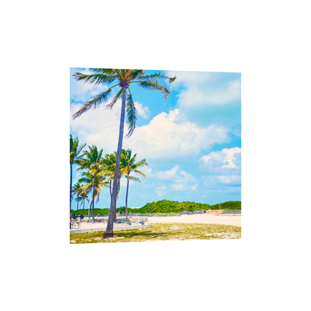 ptq_1_0_0_272_1080_1080_0_false_ffffff_0_0_.png