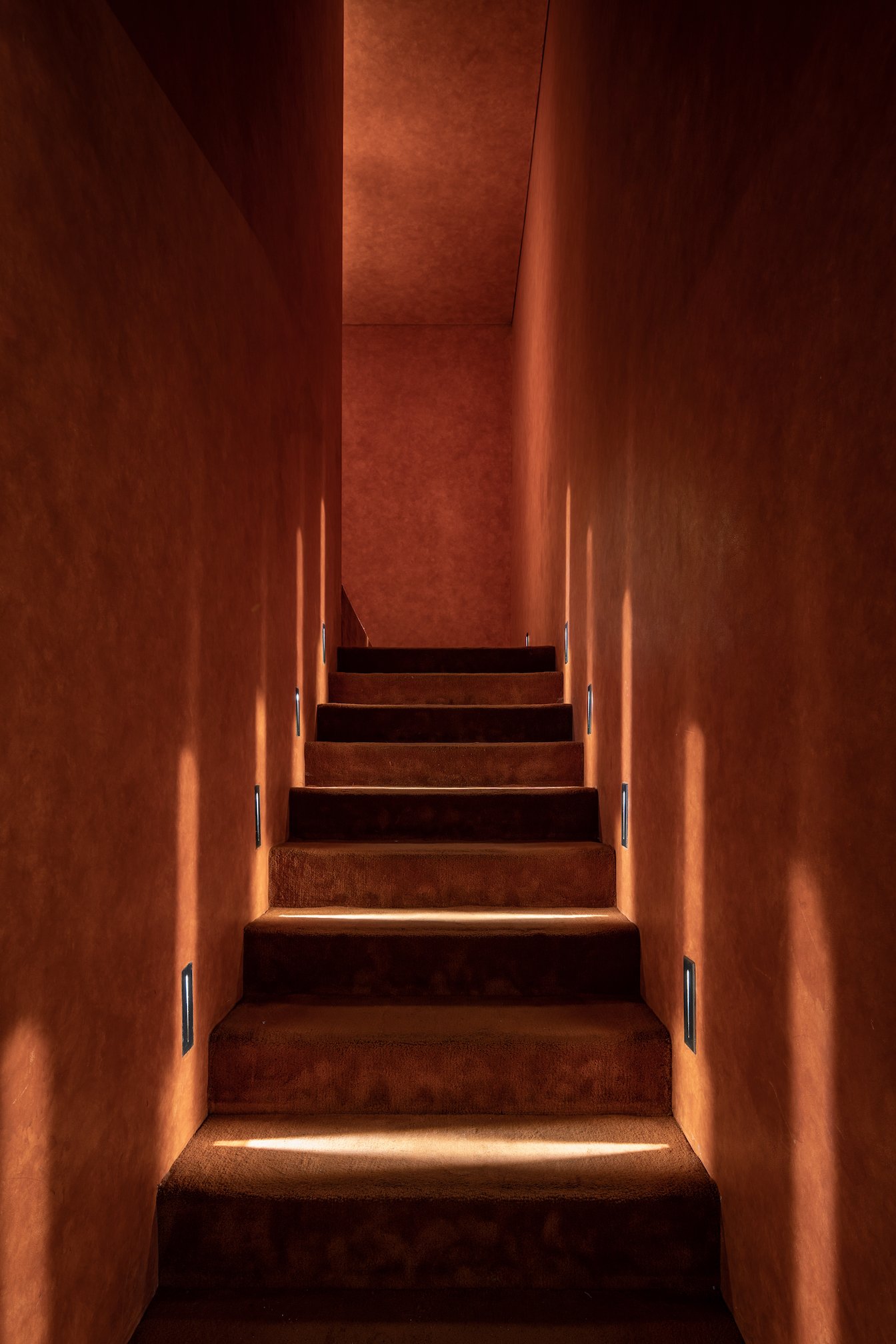 Segno-22.jpg