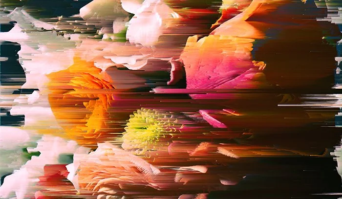 002-L // Linear Study