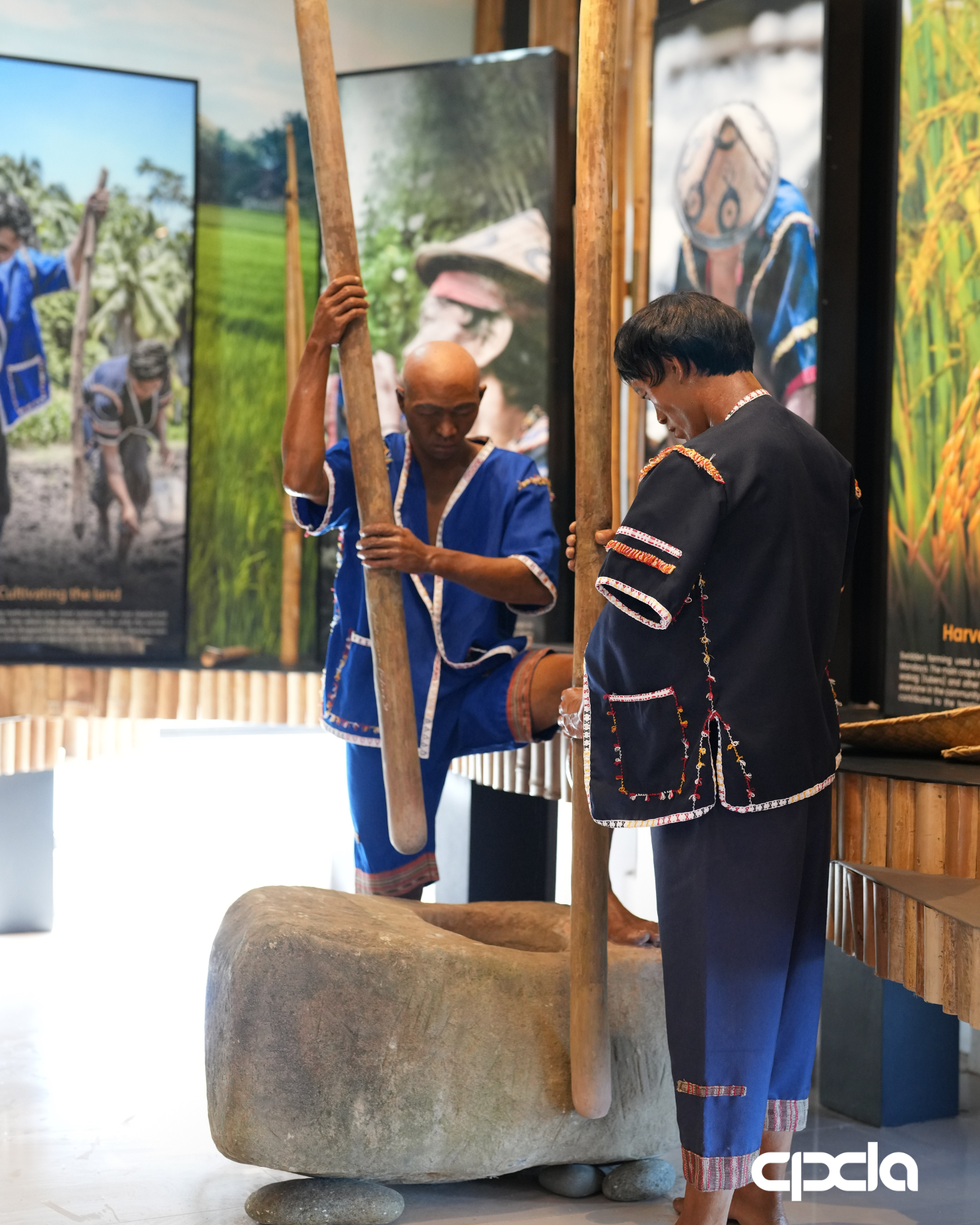 Cultural Influences in Architecture: How Local Elements Shape Museum ...