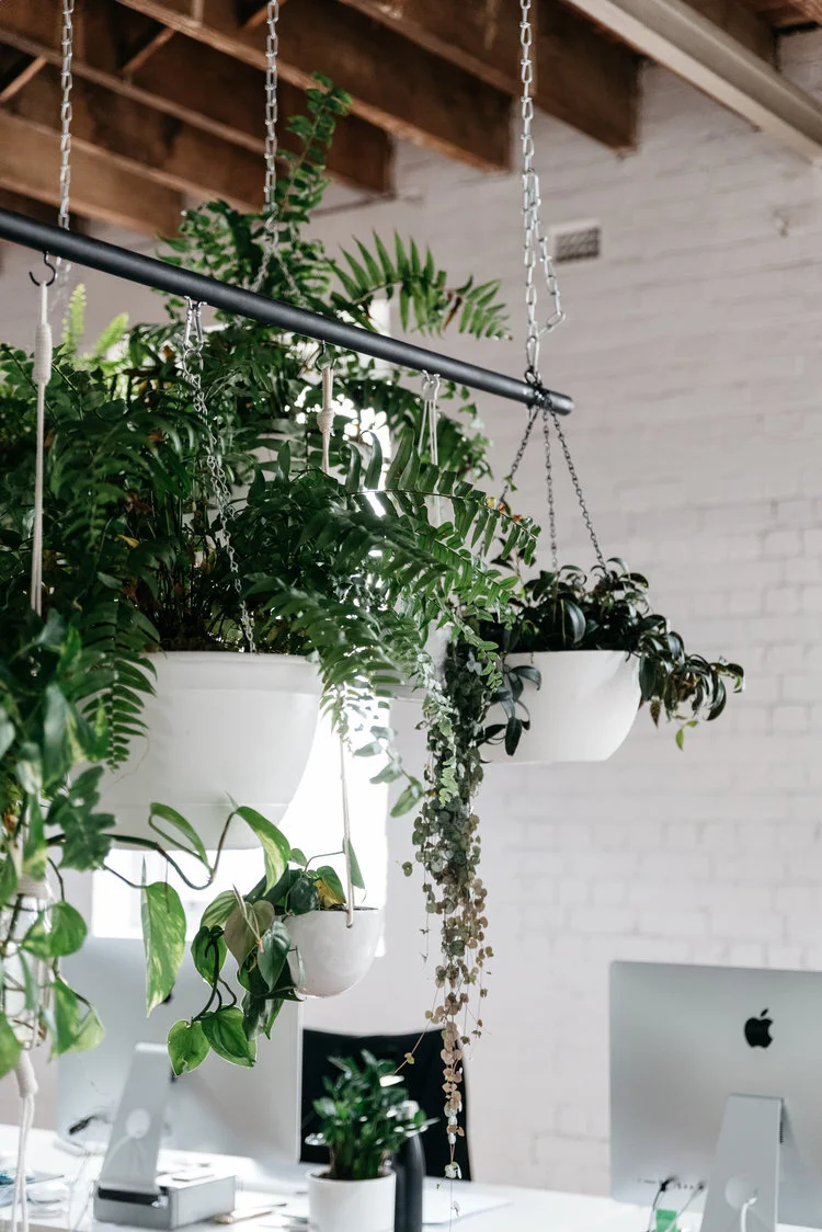 PlantMama-44.jpg