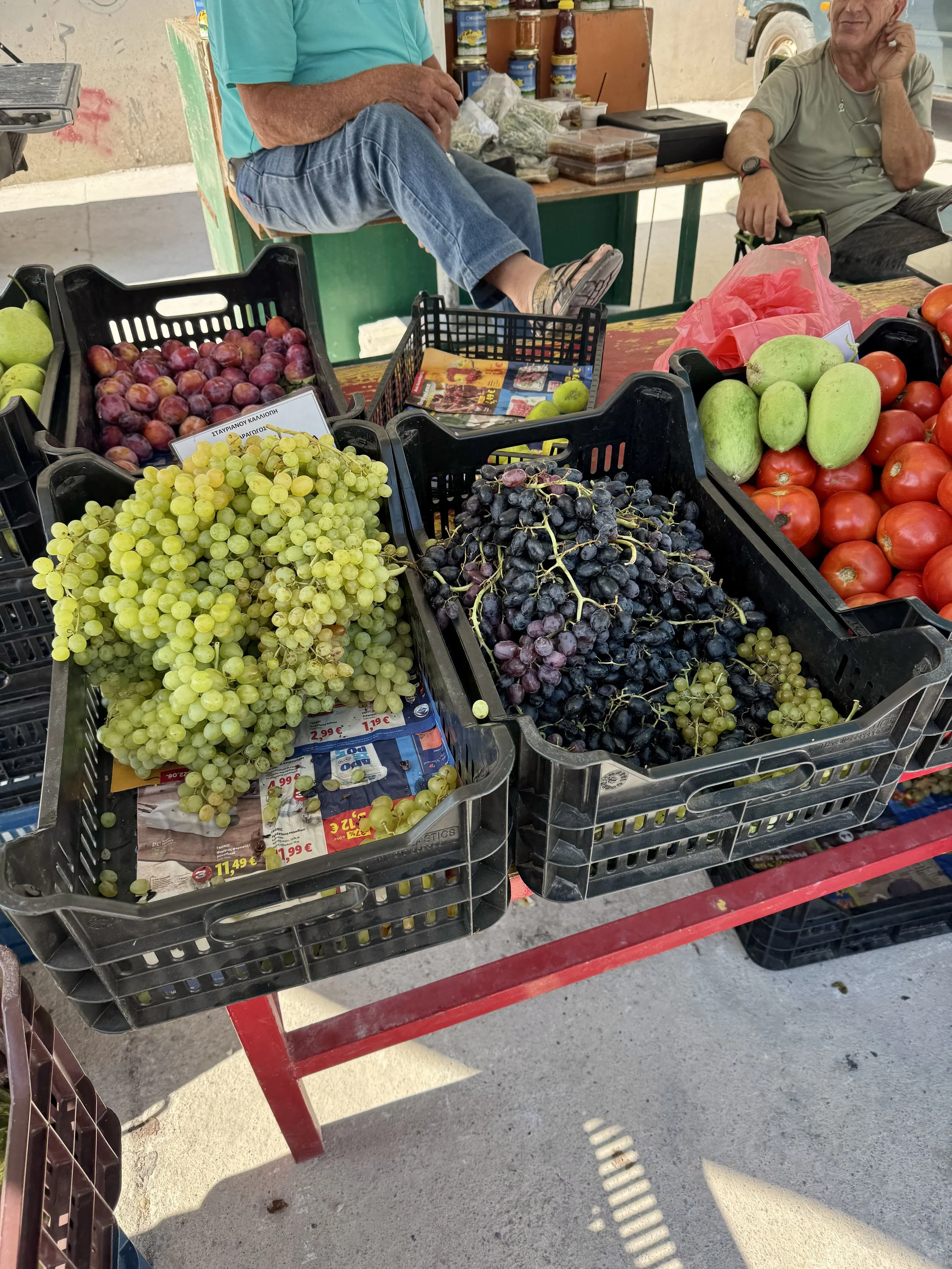 IMG_2959.jpeg