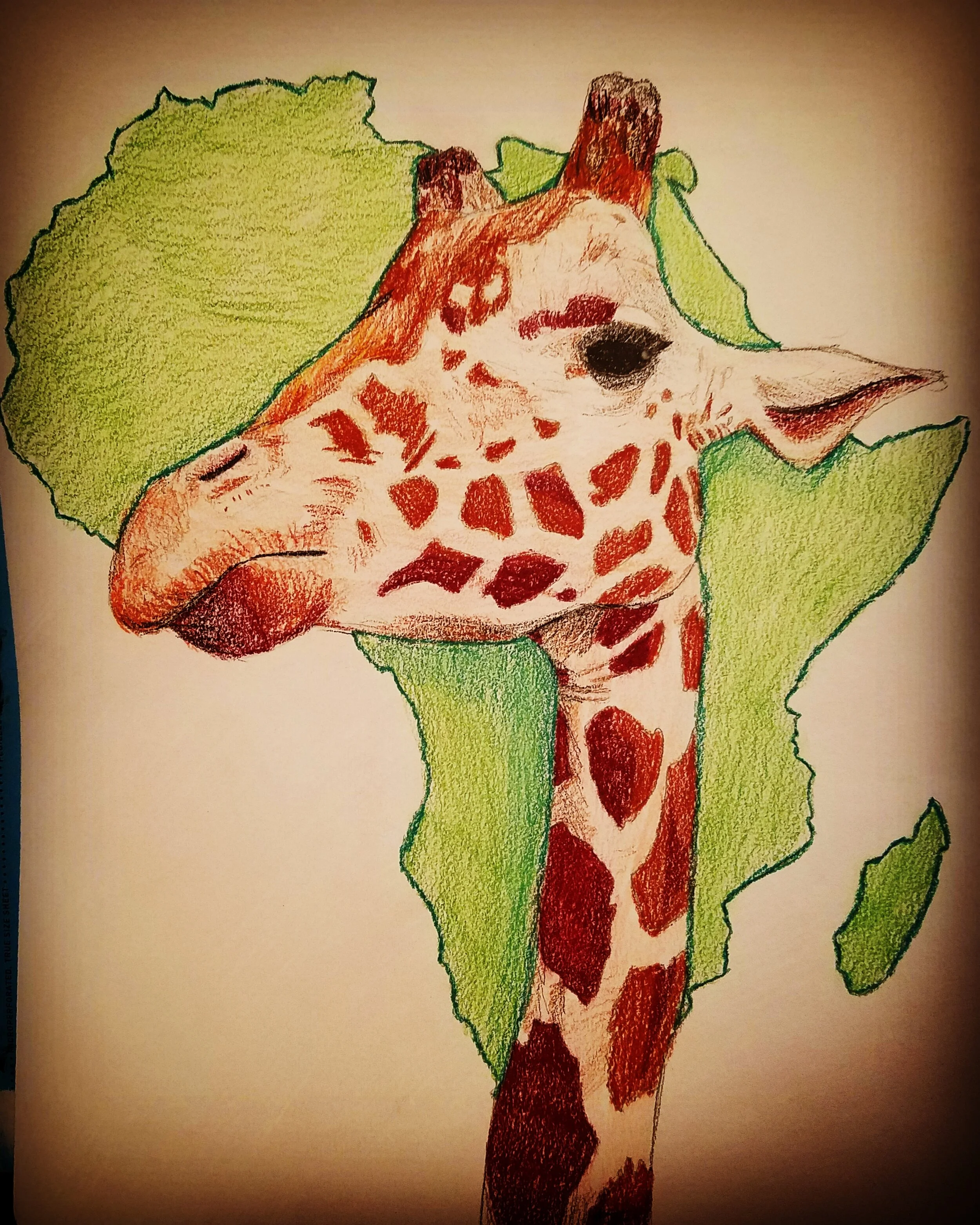 Giraffe - A commission done for World Giraffe Day 2017 done using prismacolor color pencils