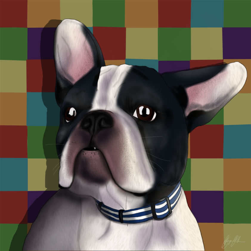 Happy Hound Commission 1 - a pet commission done using the procreate app on the iPad Pro