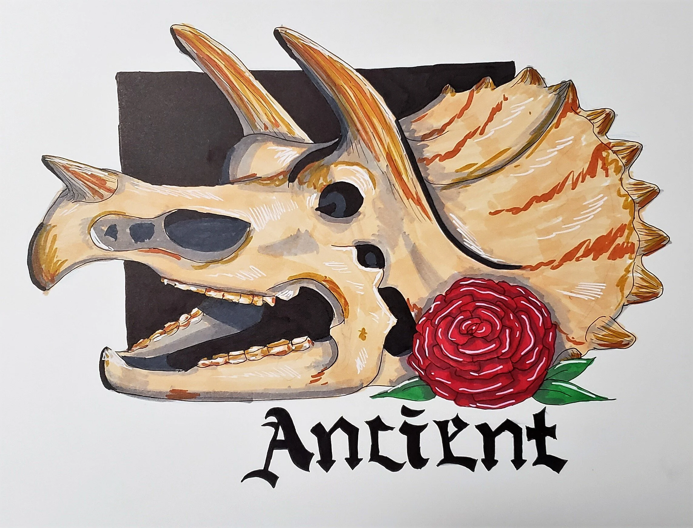 Ancient - A triceratops skull study done for Inktober2019 utilizing Ohuhu alcohol markers and fineliners